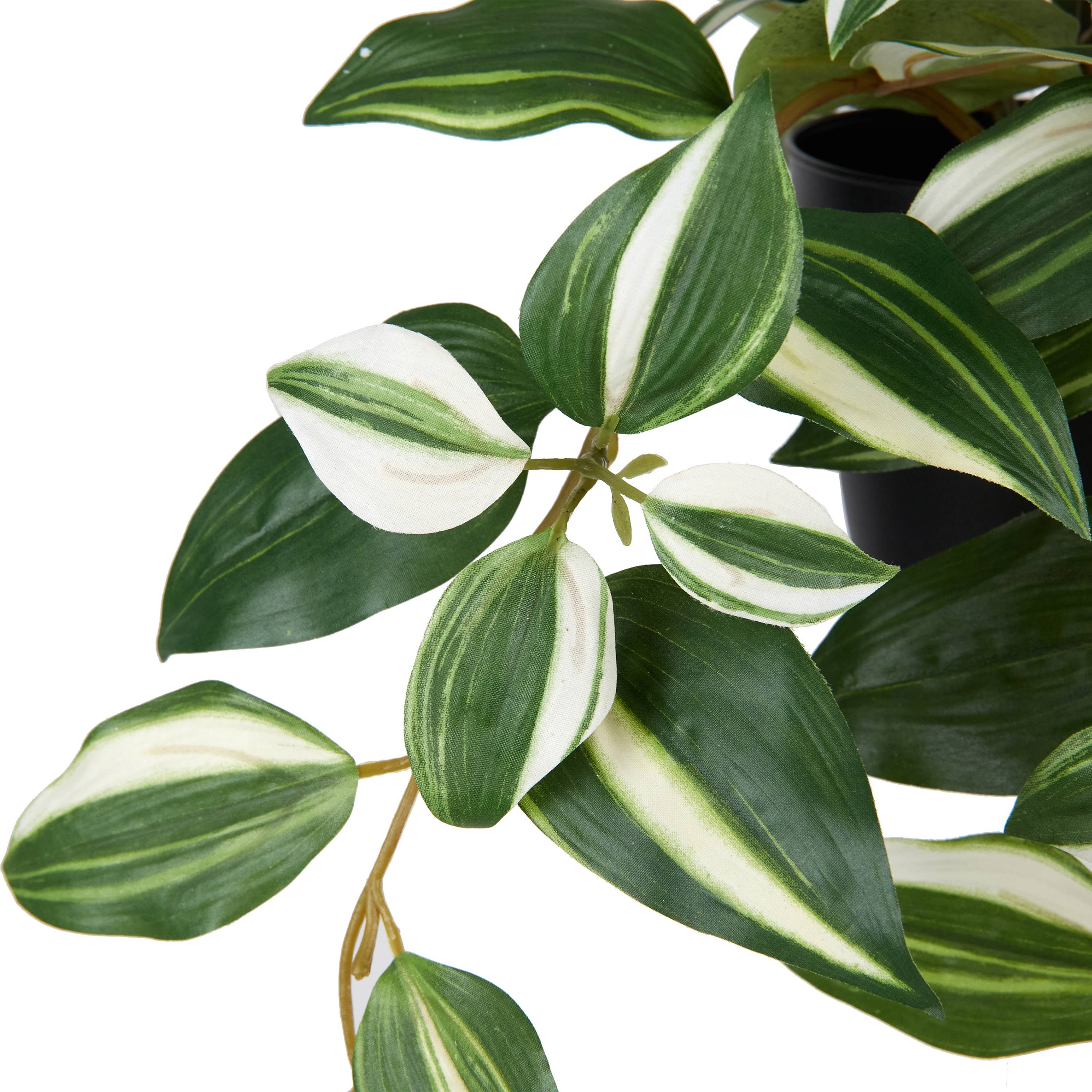 Ecloz - Tradescantia artificiel retombant en pot - L. 63 cm - ECLOZ - Image 4