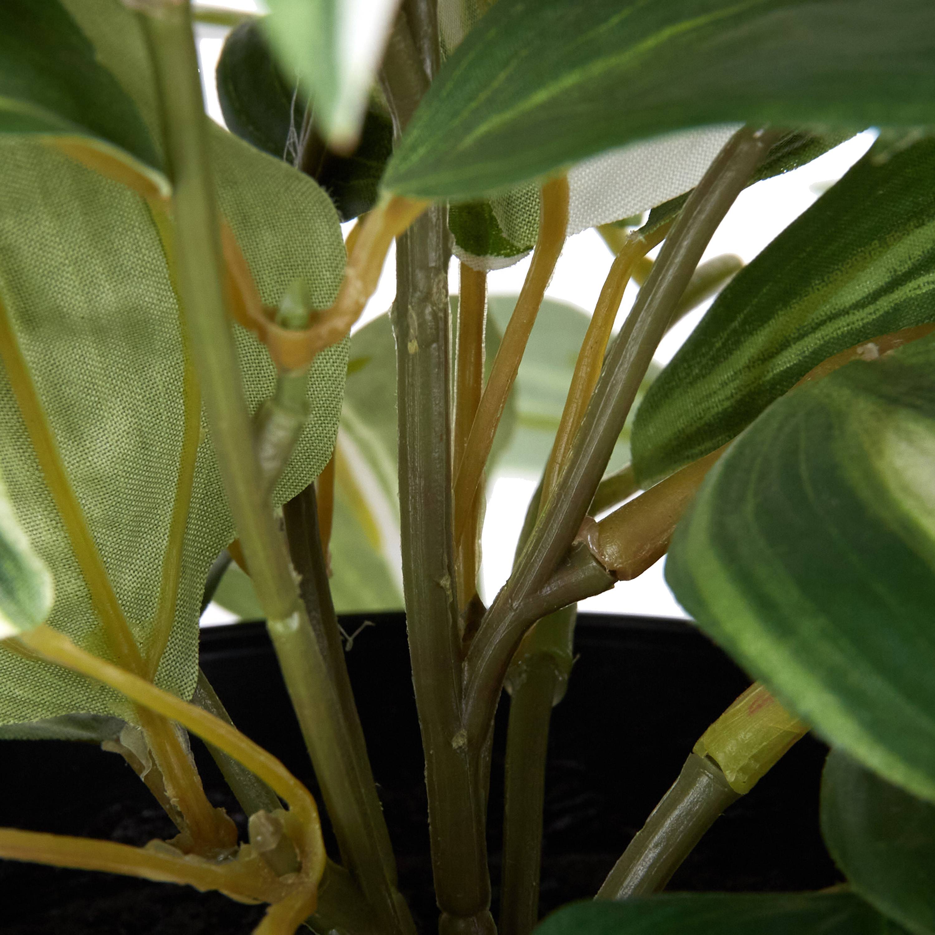 Ecloz - Tradescantia artificiel retombant en pot - L. 63 cm - ECLOZ - Image 5