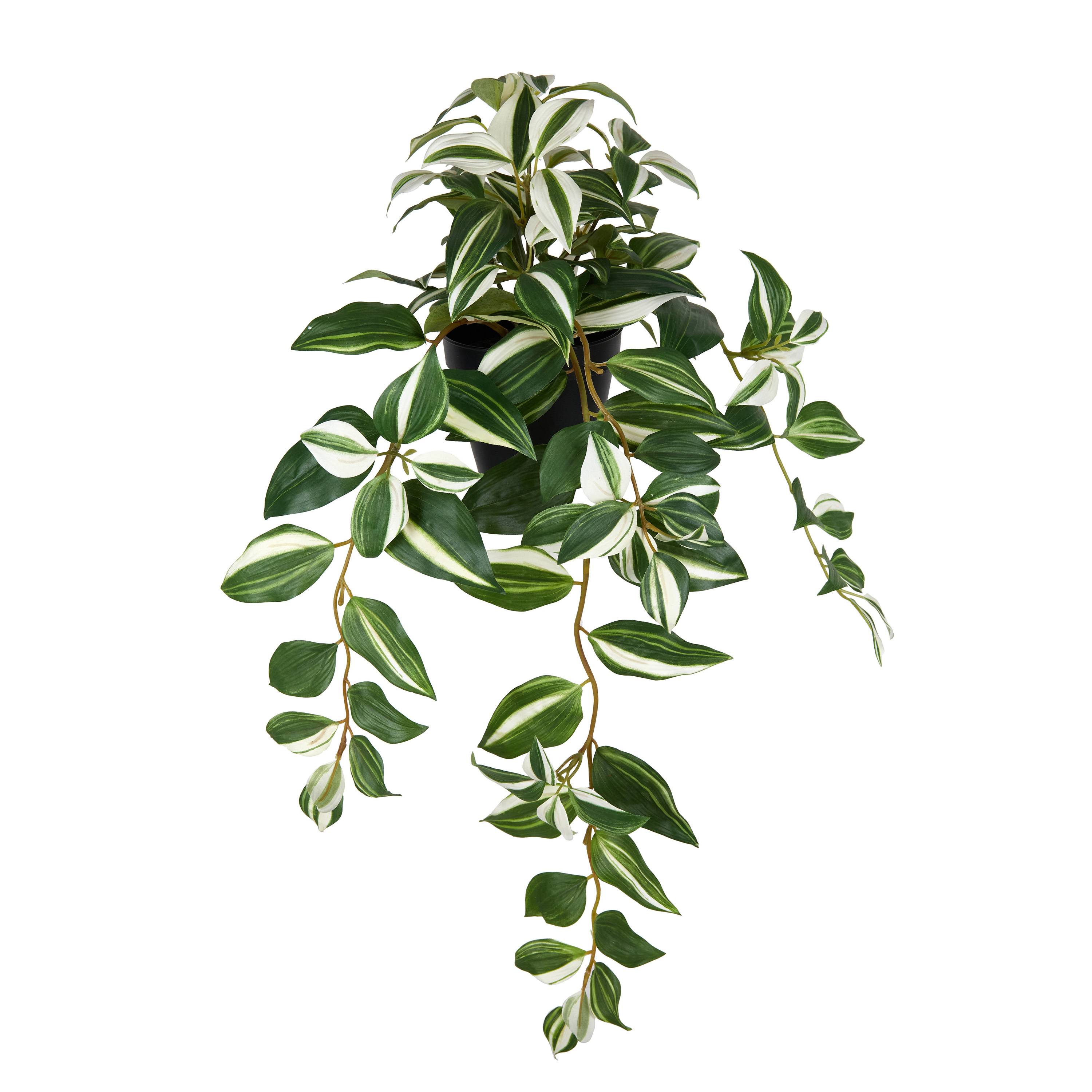 Ecloz - Tradescantia artificiel retombant en pot - L. 63 cm - ECLOZ - Image 1