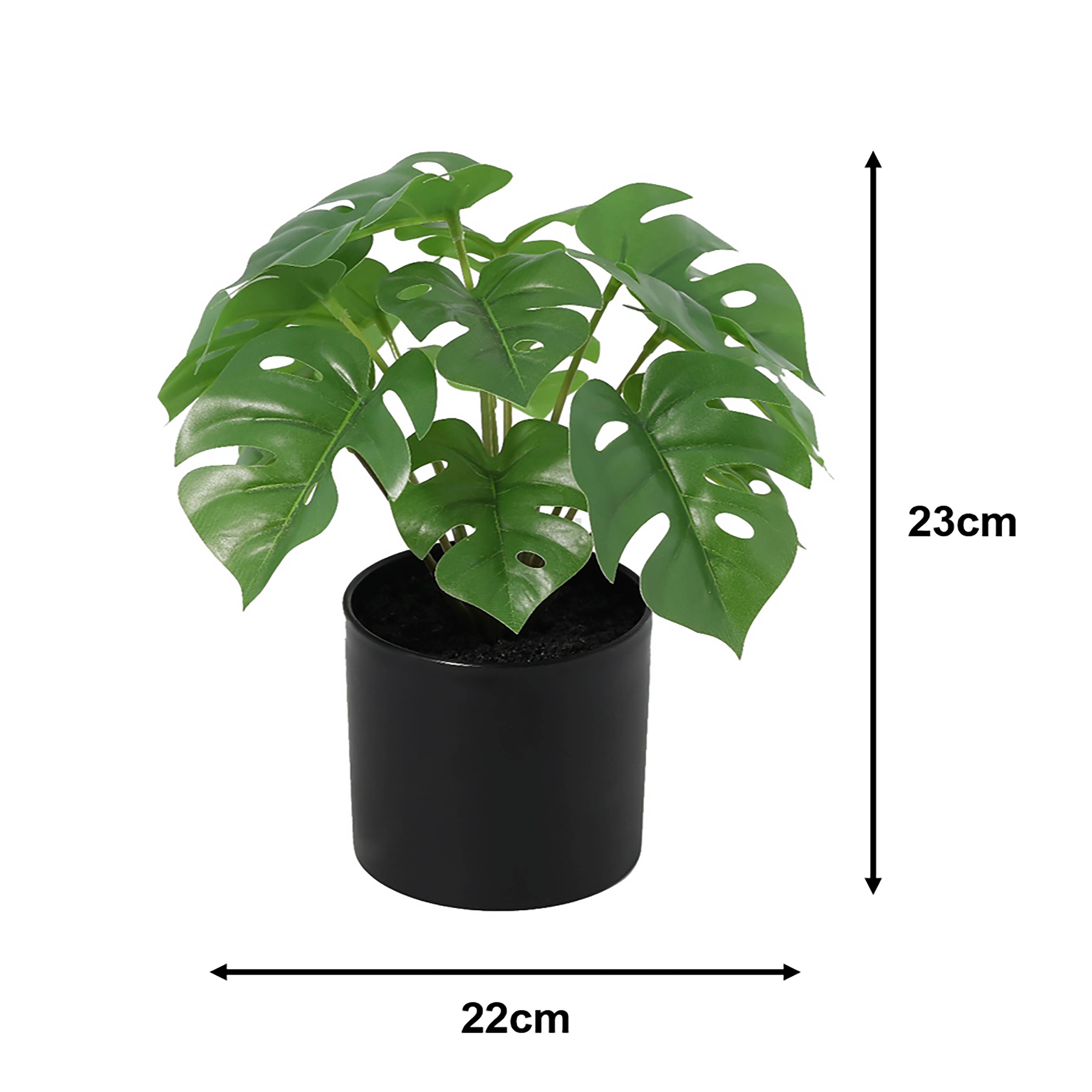 Ecloz - Monstera artificial en maceta - H. 23 cm - ECLOZ - Imagen 2