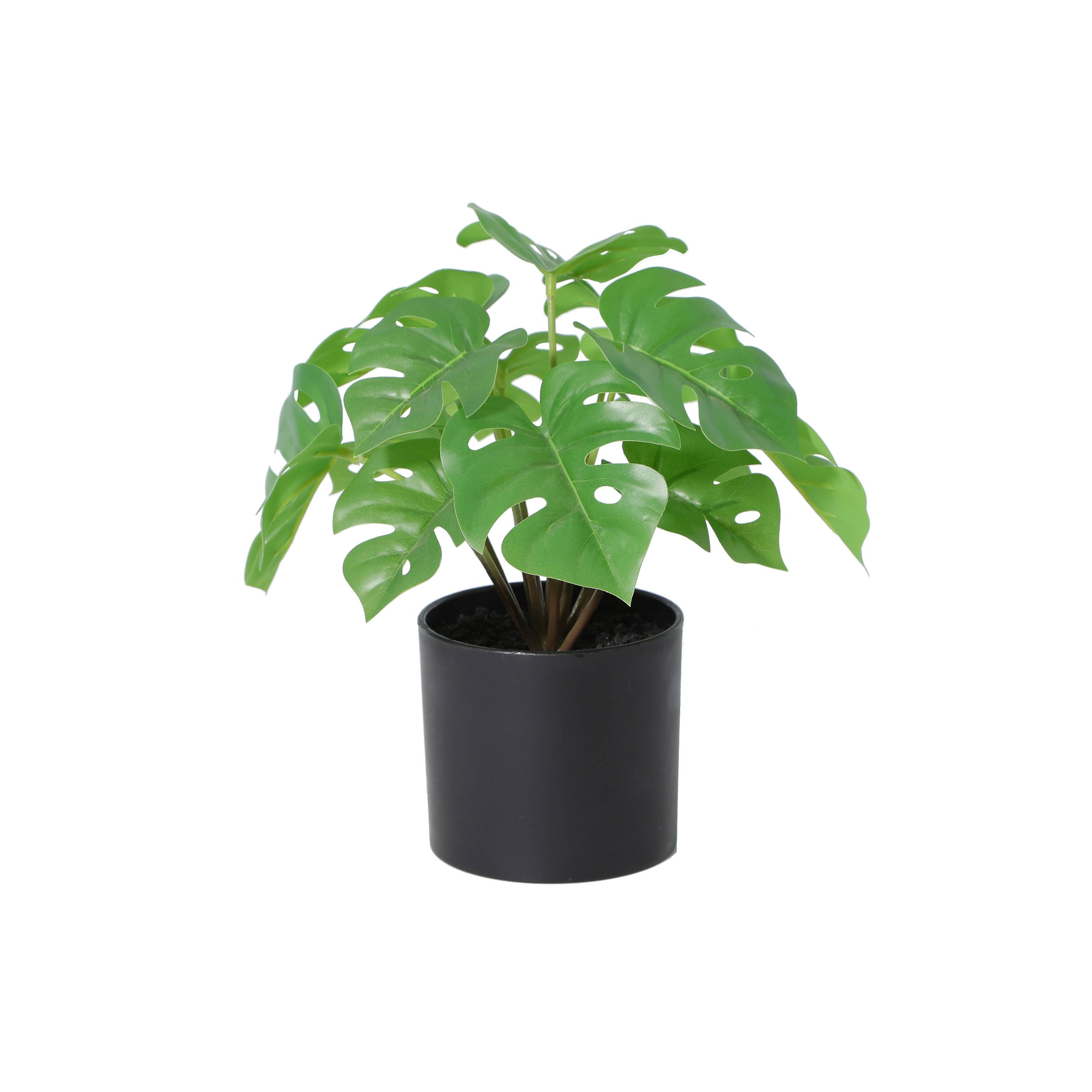 Ecloz - Monstera artificiel en pot - H. 23 cm - ECLOZ - Image 1
