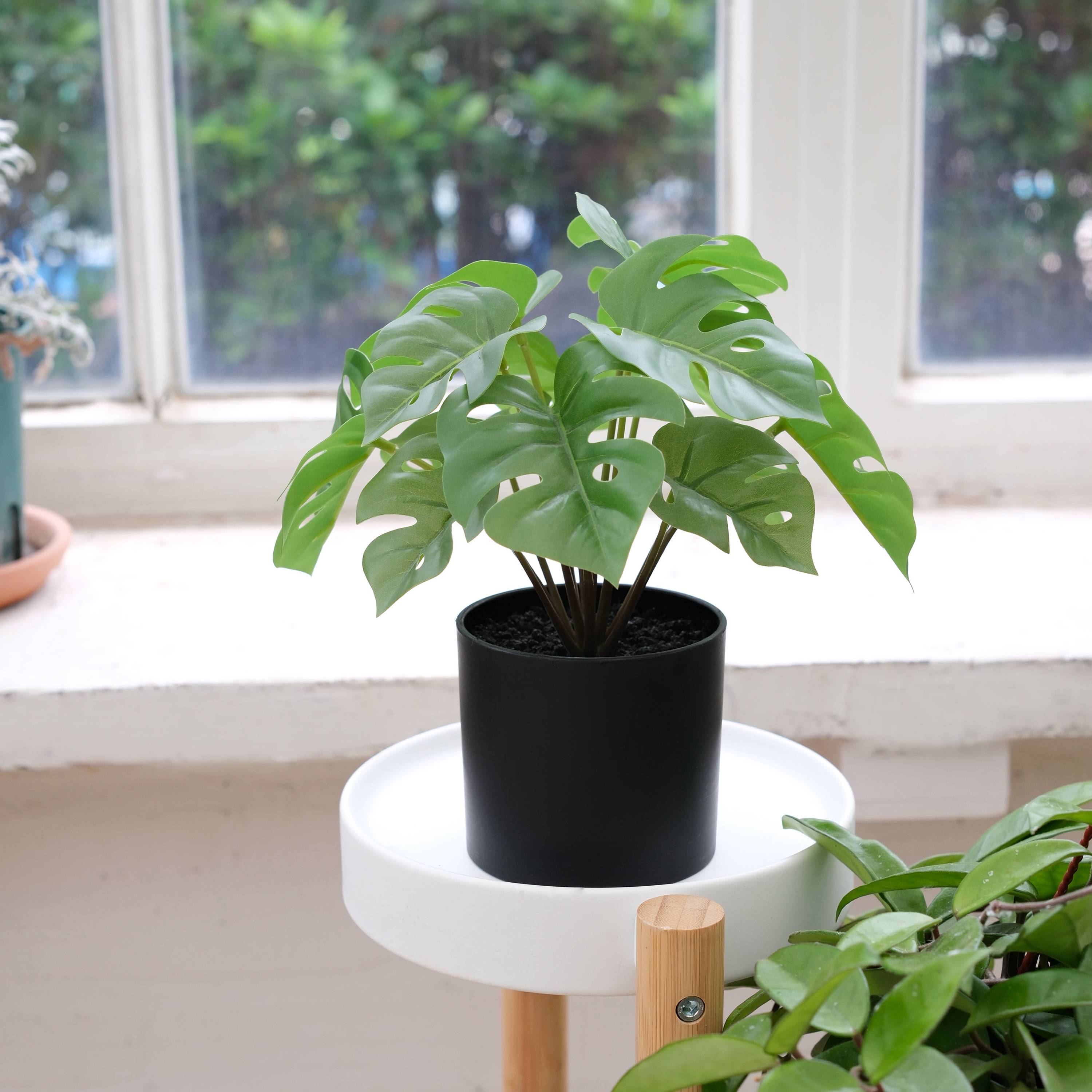 Ecloz - Monstera artificiel en pot - H. 23 cm - ECLOZ - Image 4