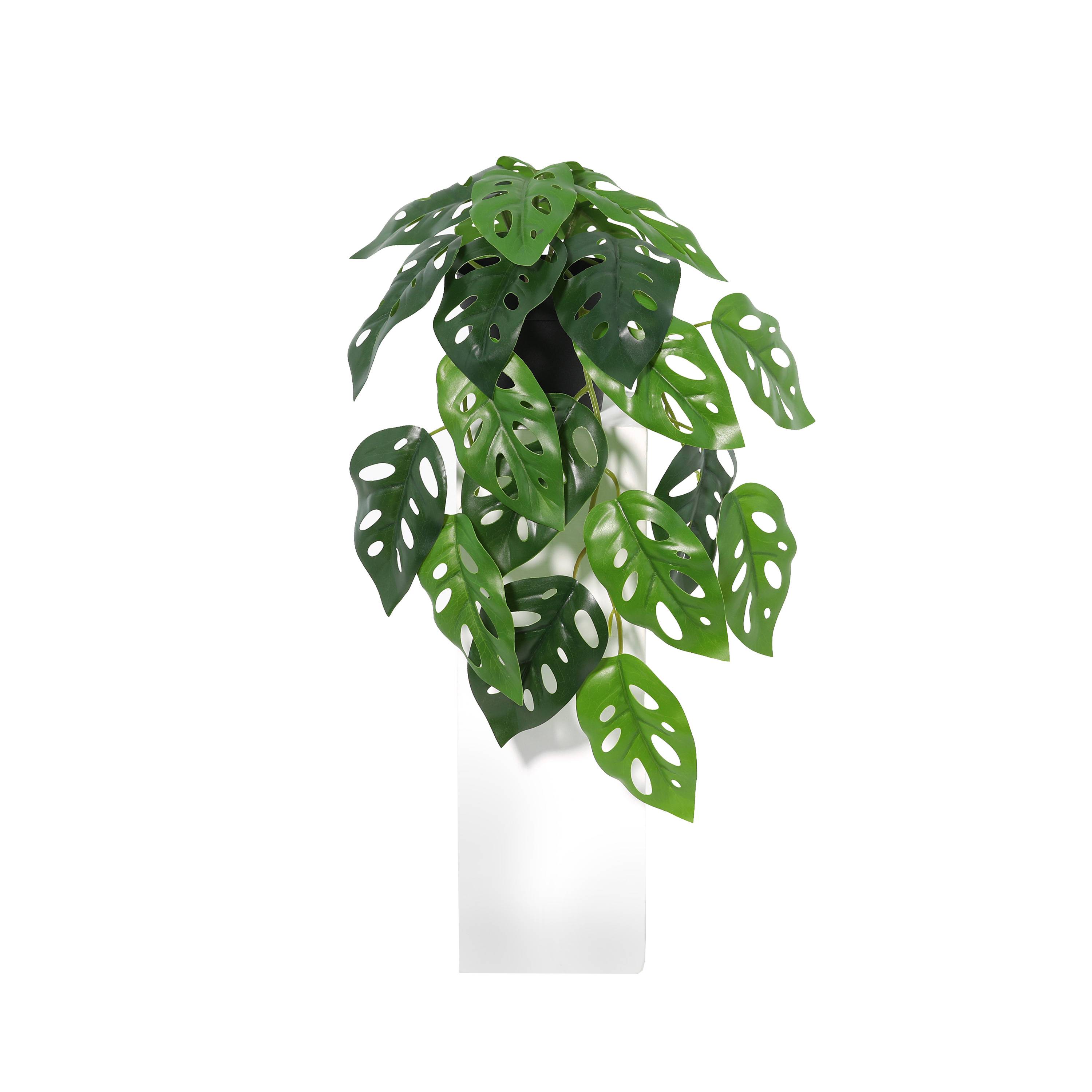 Ecloz - Monstera artificiel retombant en pot - L. 34 cm - ECLOZ - Image 1
