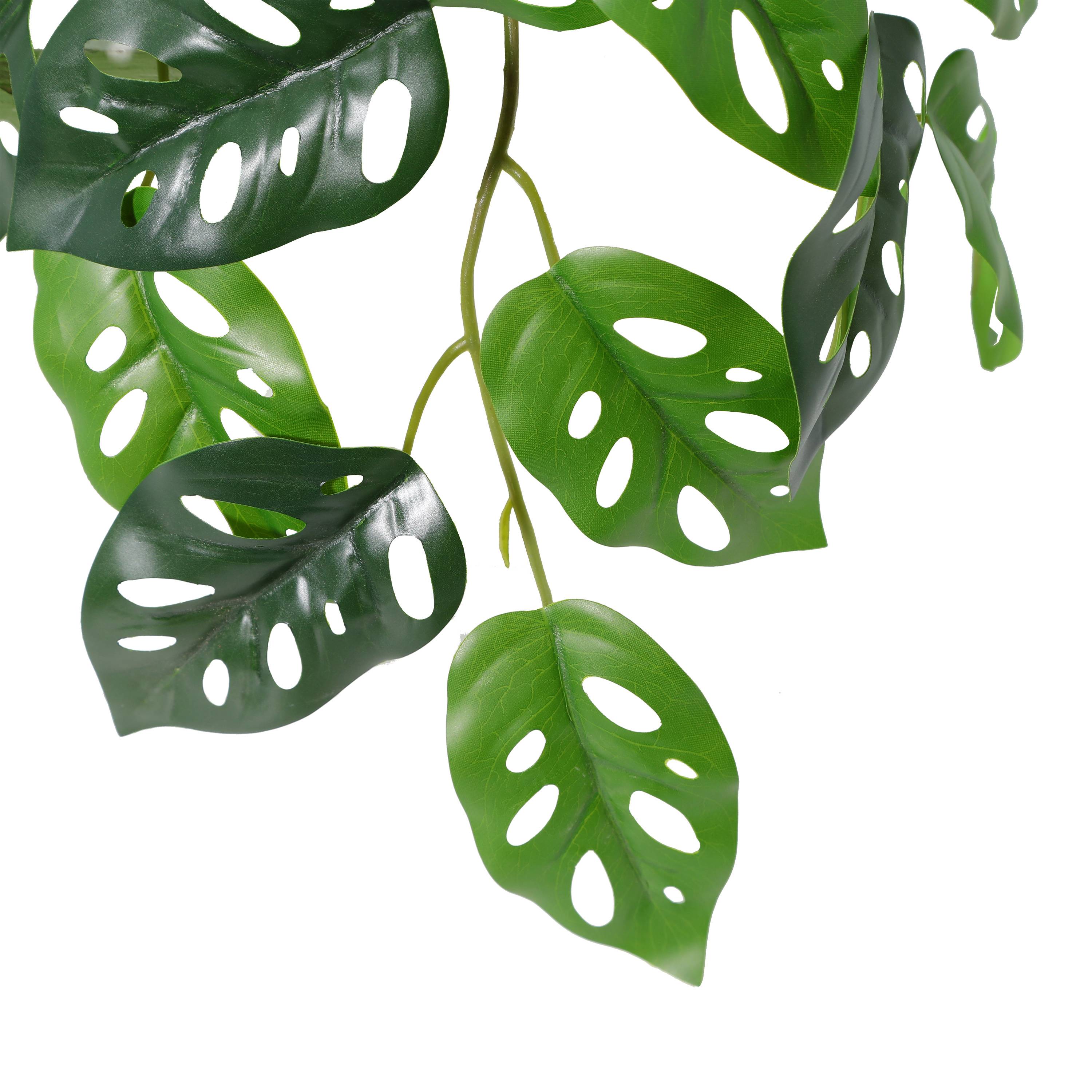 Ecloz - Monstera artificiel retombant en pot - L. 34 cm - ECLOZ - Image 4