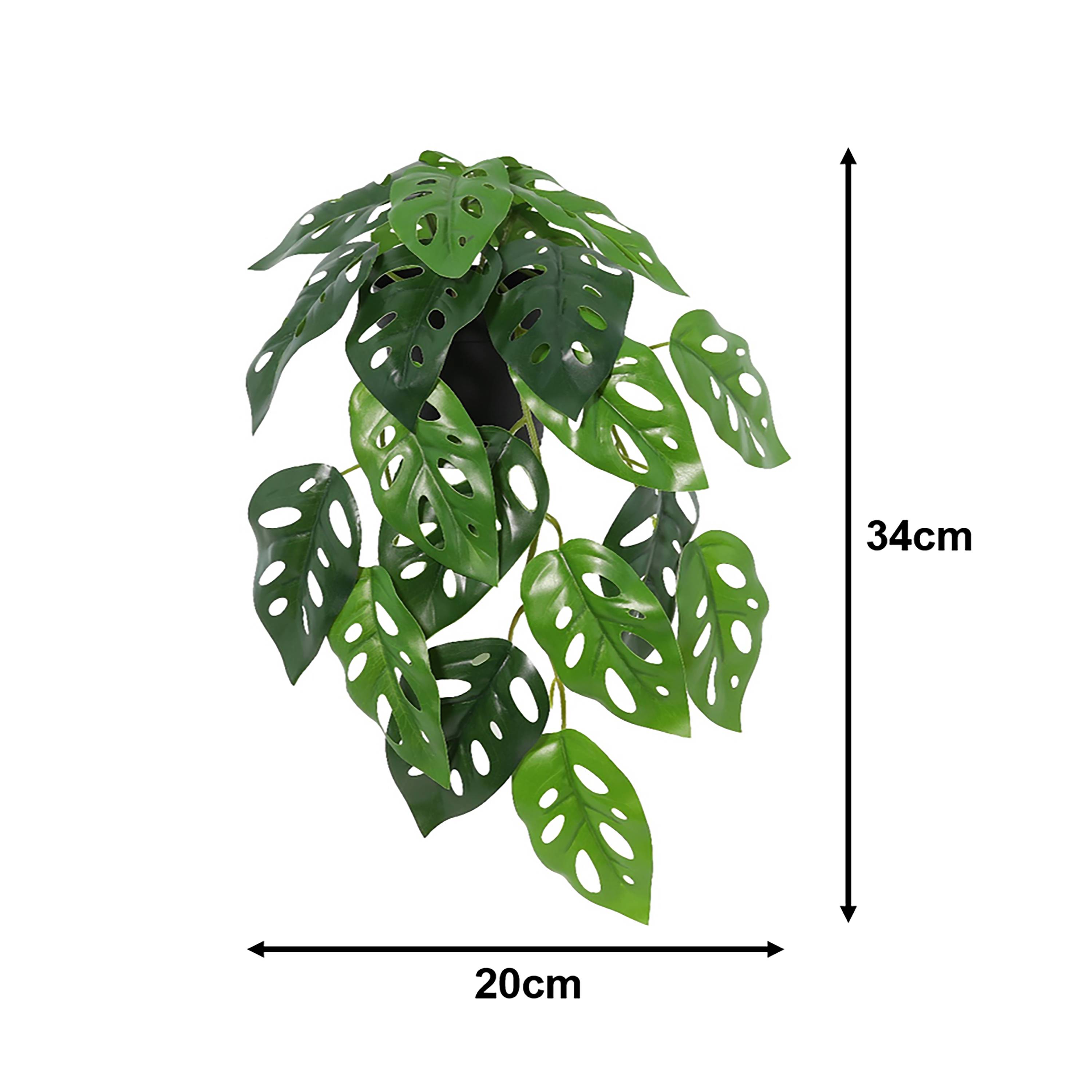 Ecloz - Monstera artificiel retombant en pot - L. 34 cm - ECLOZ - Image 2
