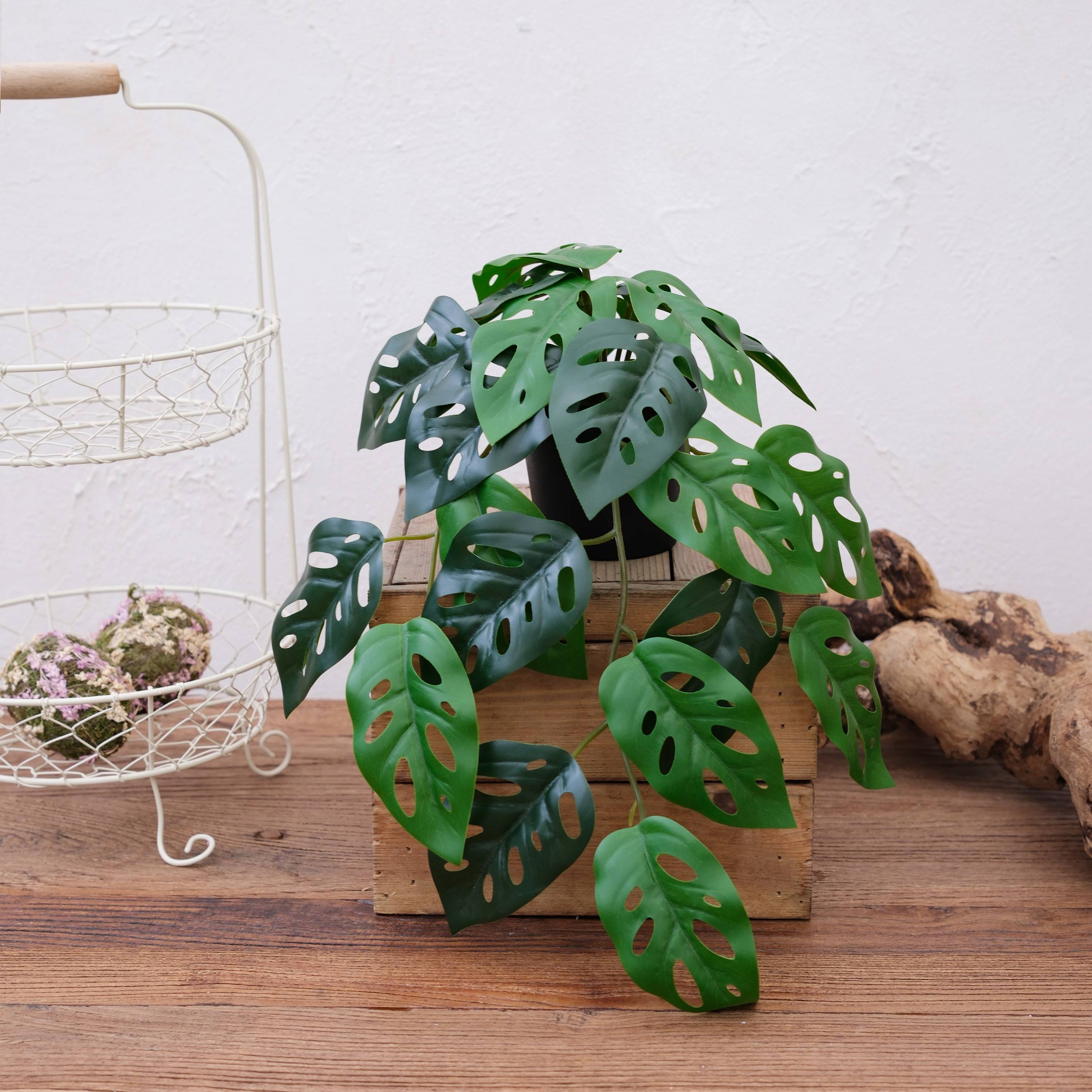 Ecloz - Monstera artificiel retombant en pot - L. 34 cm - ECLOZ - Image 3