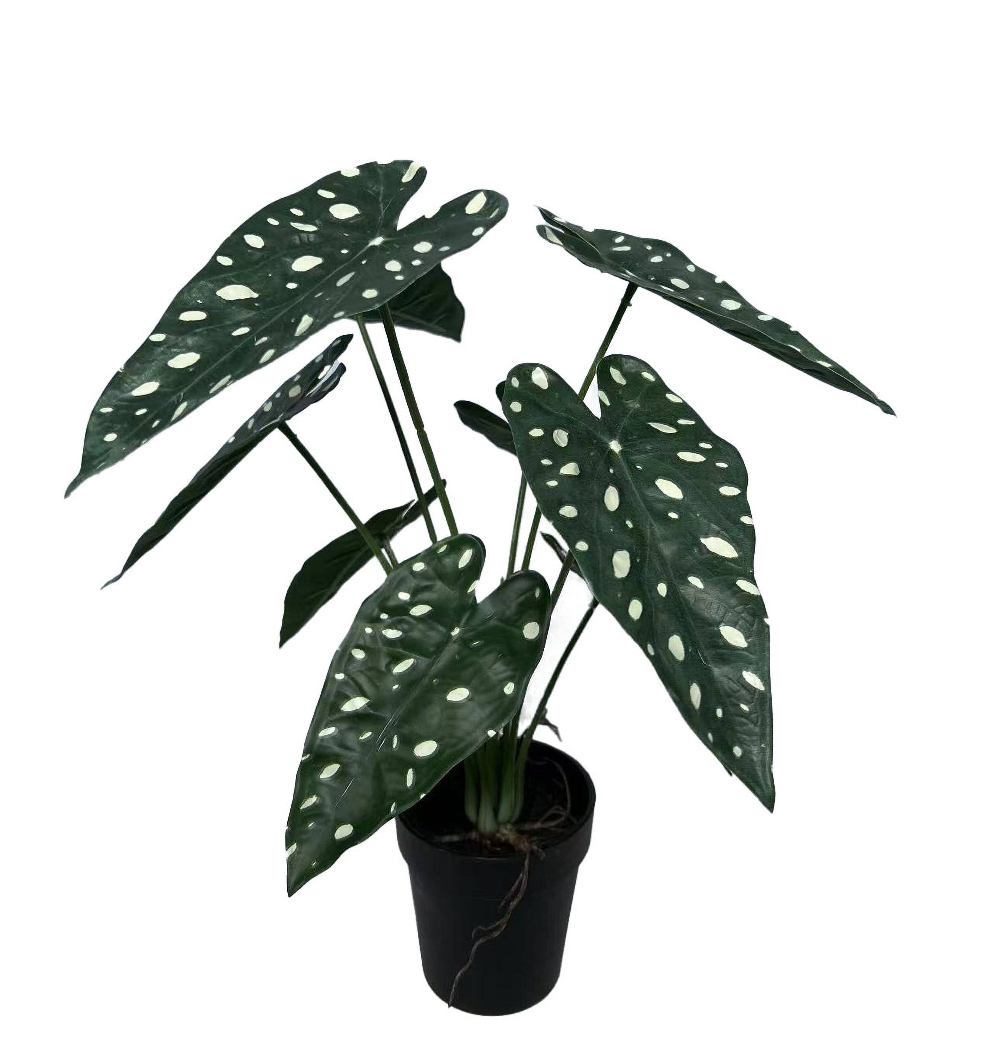 Ecloz - Bégonia tacheté artificiel blanc en pot - H. 27 cm - ECLOZ - Image 1