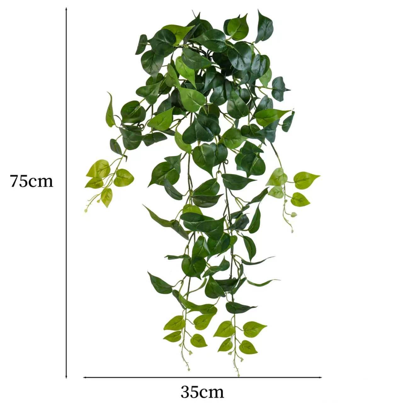 Ecloz - Chute de pothos artificielle retombante - L. 80 cm - ECLOZ - Image 2