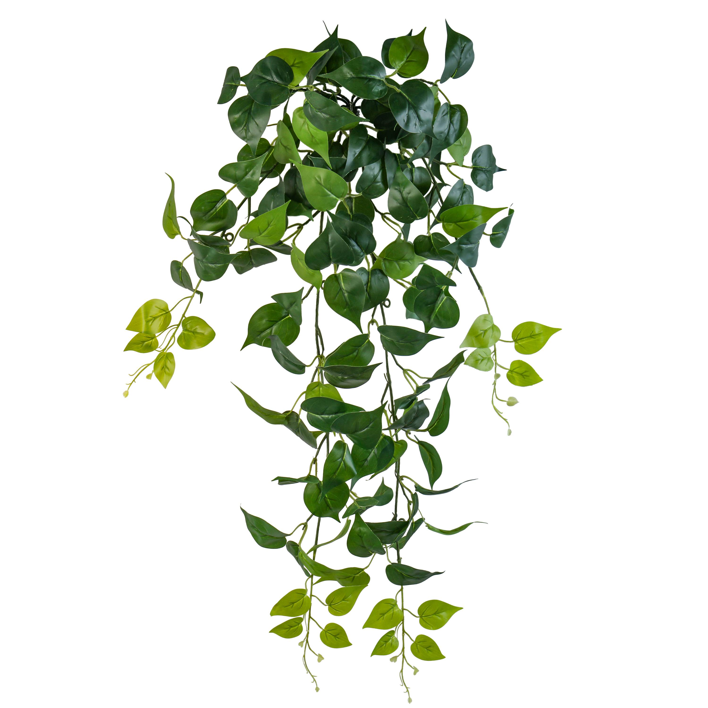 Ecloz - Chute de pothos artificielle retombante - L. 80 cm - ECLOZ - Image 1