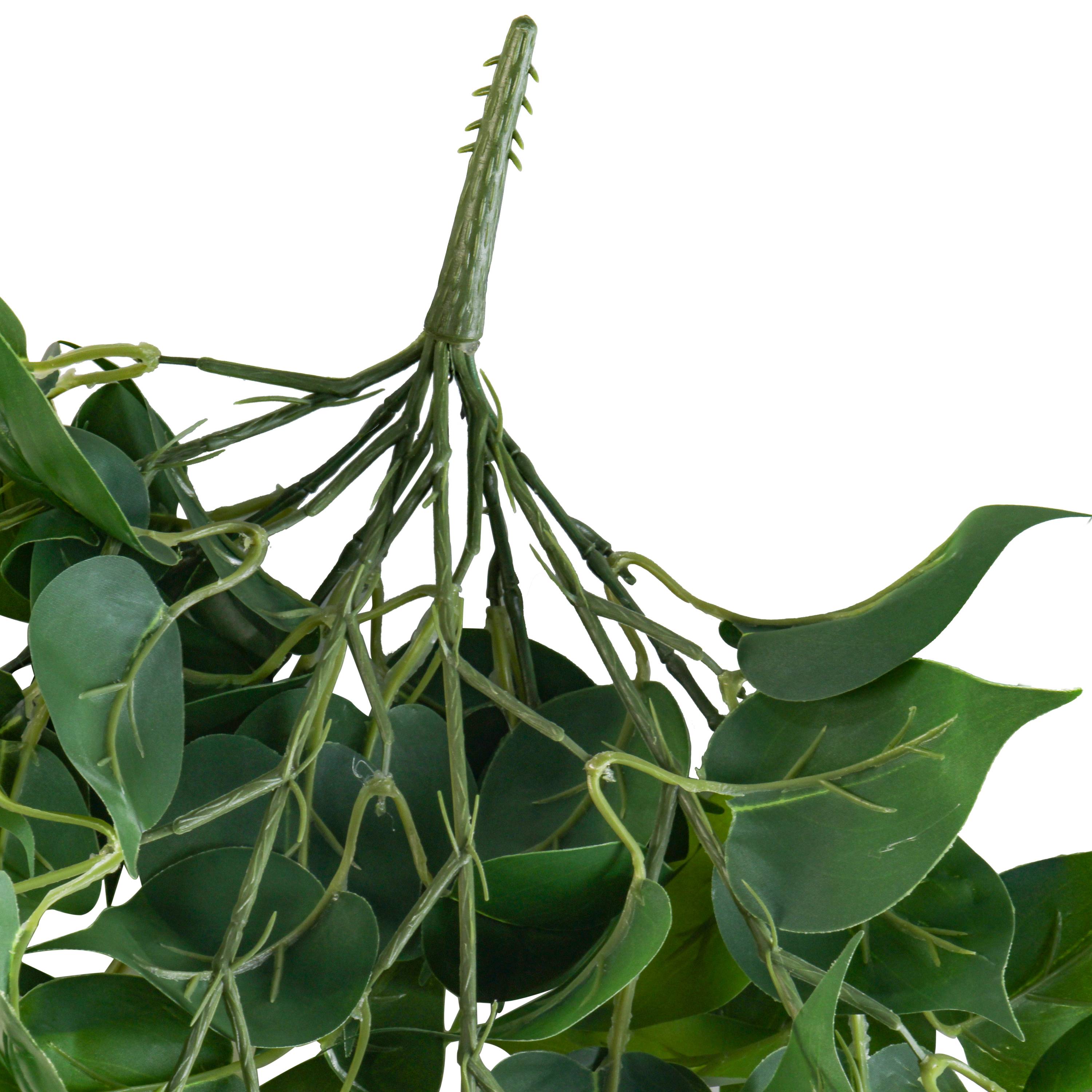 Ecloz - Chute de pothos artificielle retombante - L. 80 cm - ECLOZ - Image 4