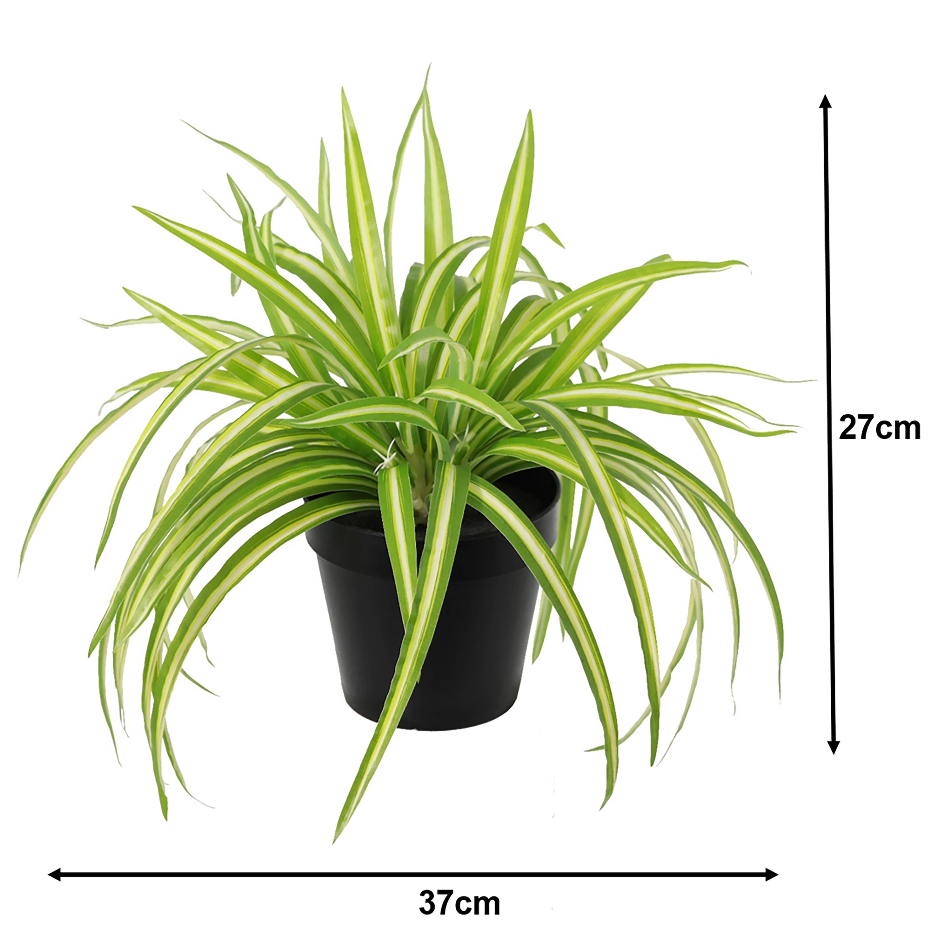 Ecloz - Chlorophytum artificiel en pot - H. 27 cm - ECLOZ - Image 4