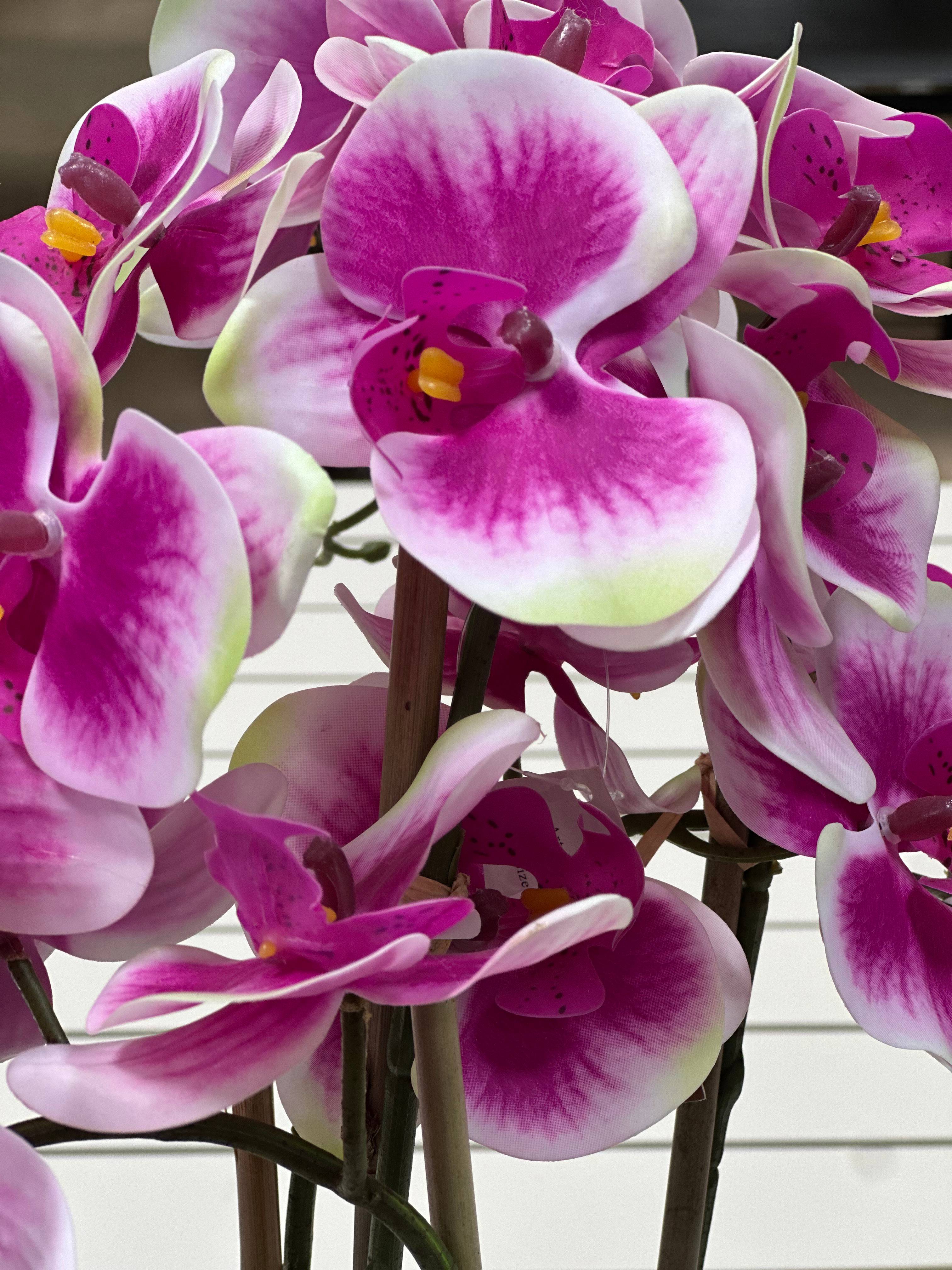 Ecloz - Orquídea phalaenopsis artificial en maceta - 4 tallos - corazón rosa magenta - H. 55 cm - ECLOZ - Imagen 4