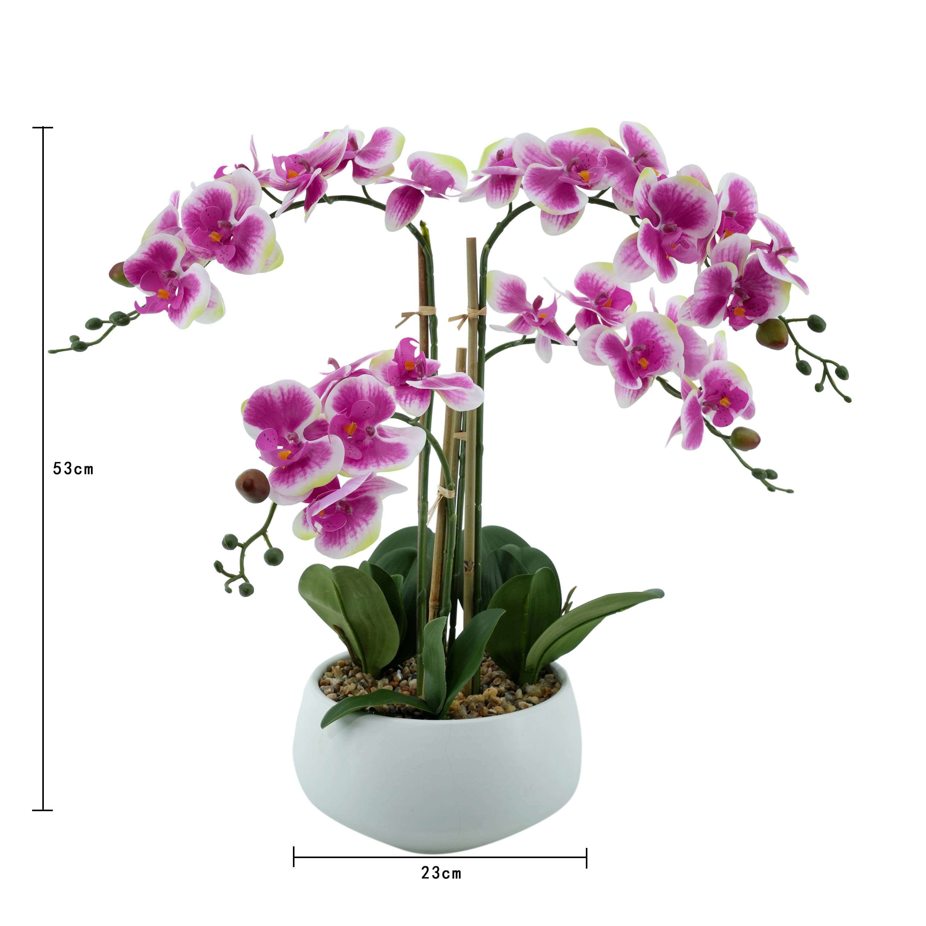 Ecloz - Orchidée phalaénopsis artificielle en pot - 4 tiges - rose cœur magenta - H. 55 cm - ECLOZ - Image 7