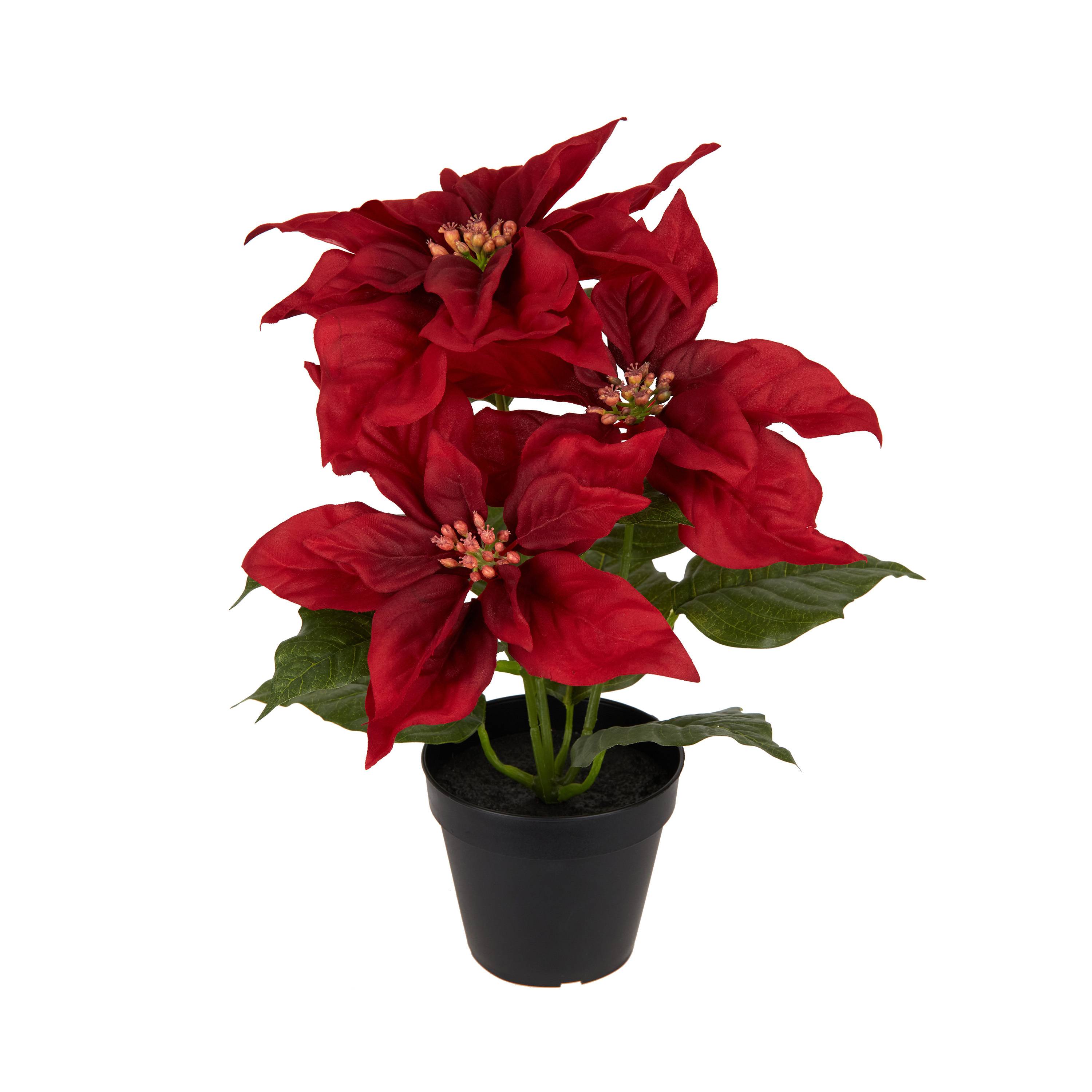 Ecloz - Poinsettia artificial rojo en maceta - H. 34 cm - ECLOZ