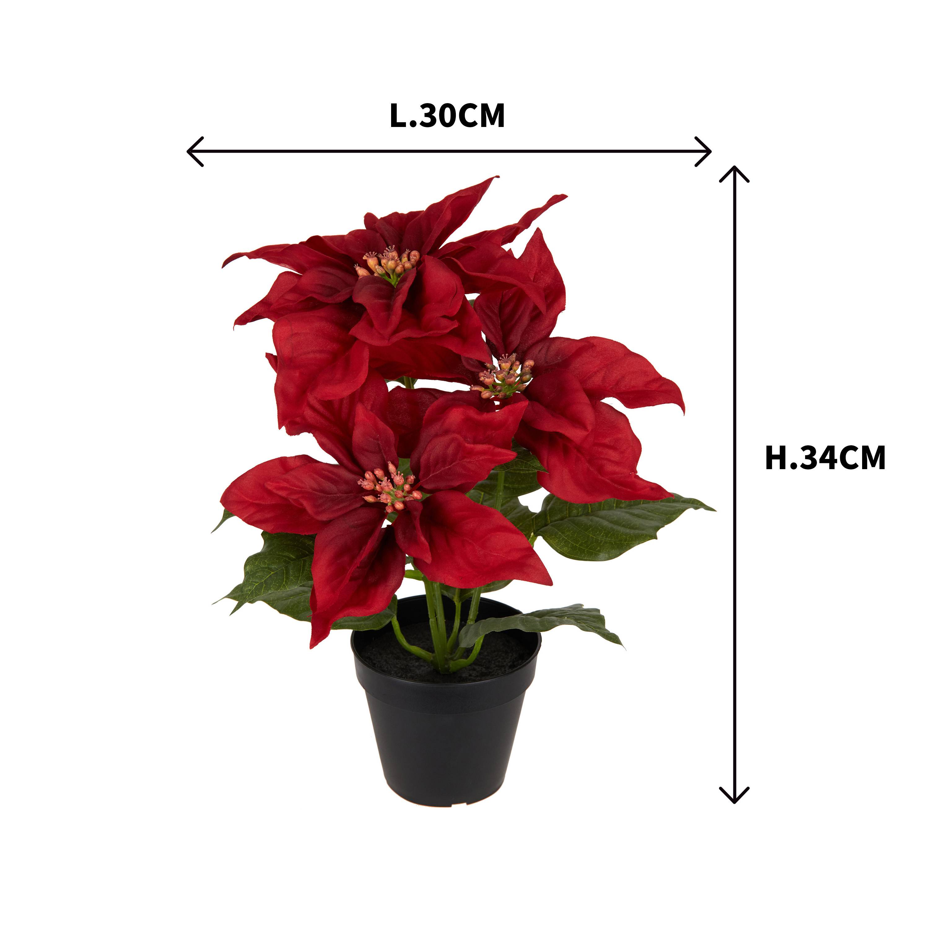 Ecloz - Poinsettia artificiel rouge en pot - H. 34 cm - ECLOZ - Image 3