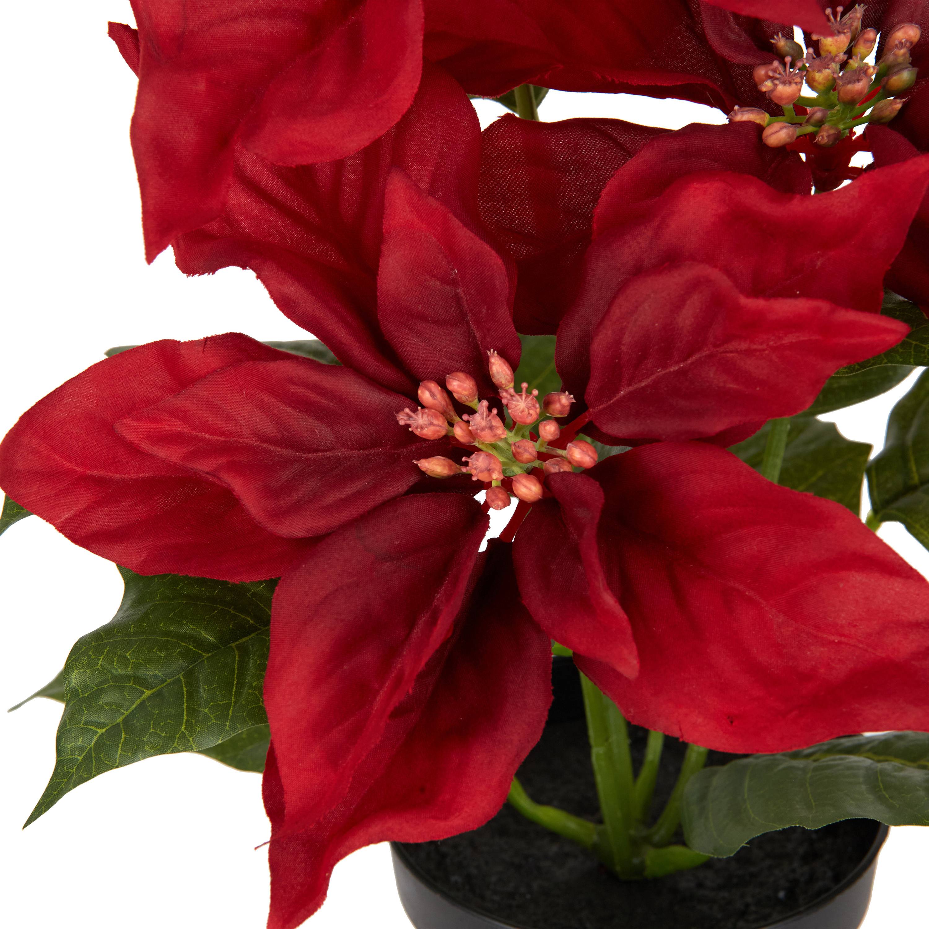 Ecloz - Poinsettia artificiel rouge en pot - H. 34 cm - ECLOZ - Image 4