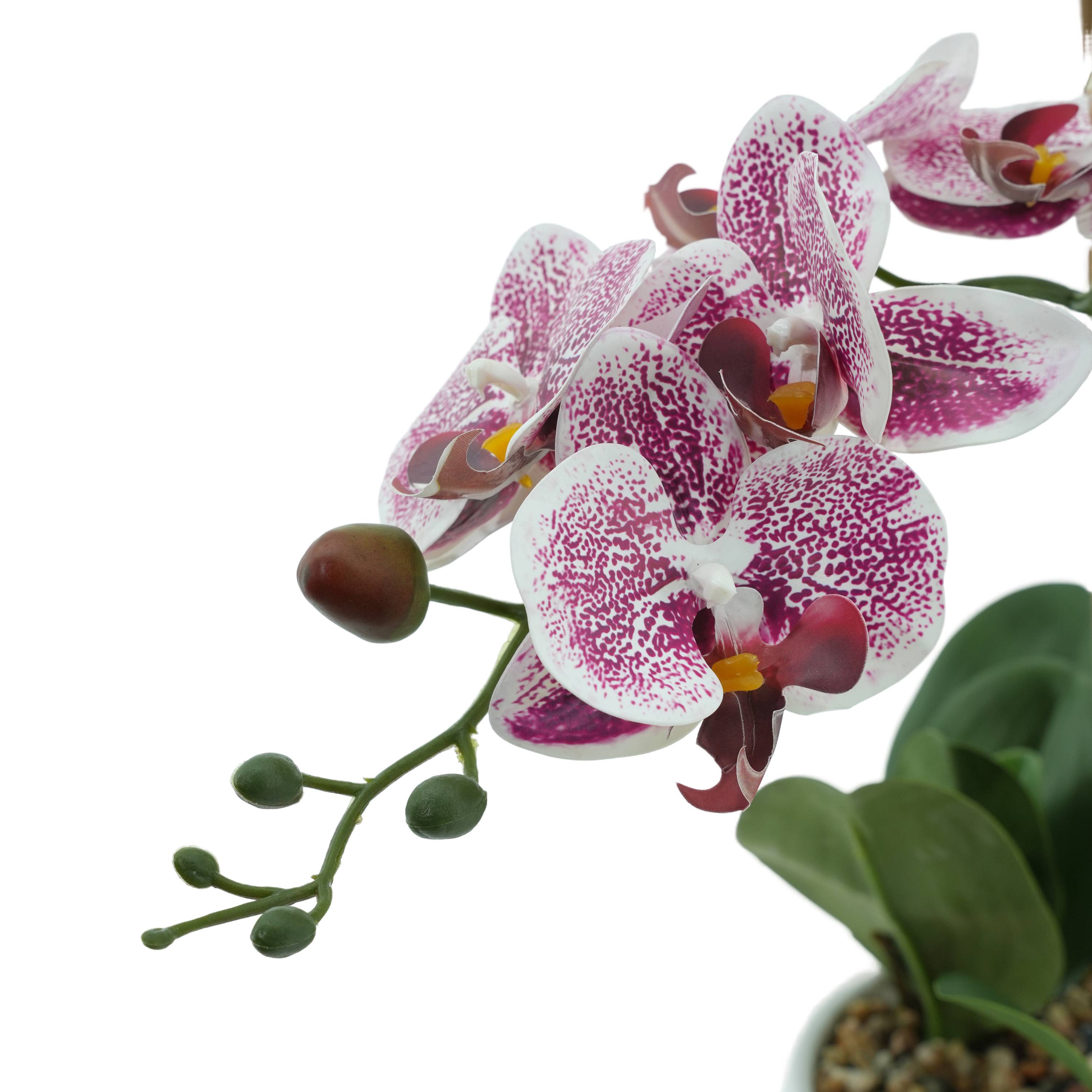 Ecloz - Orchidée phalaénopsis artificielle en pot - 2 tiges - blanche tachetée pourpre - H. 55cm - ECLOZ - Image 2