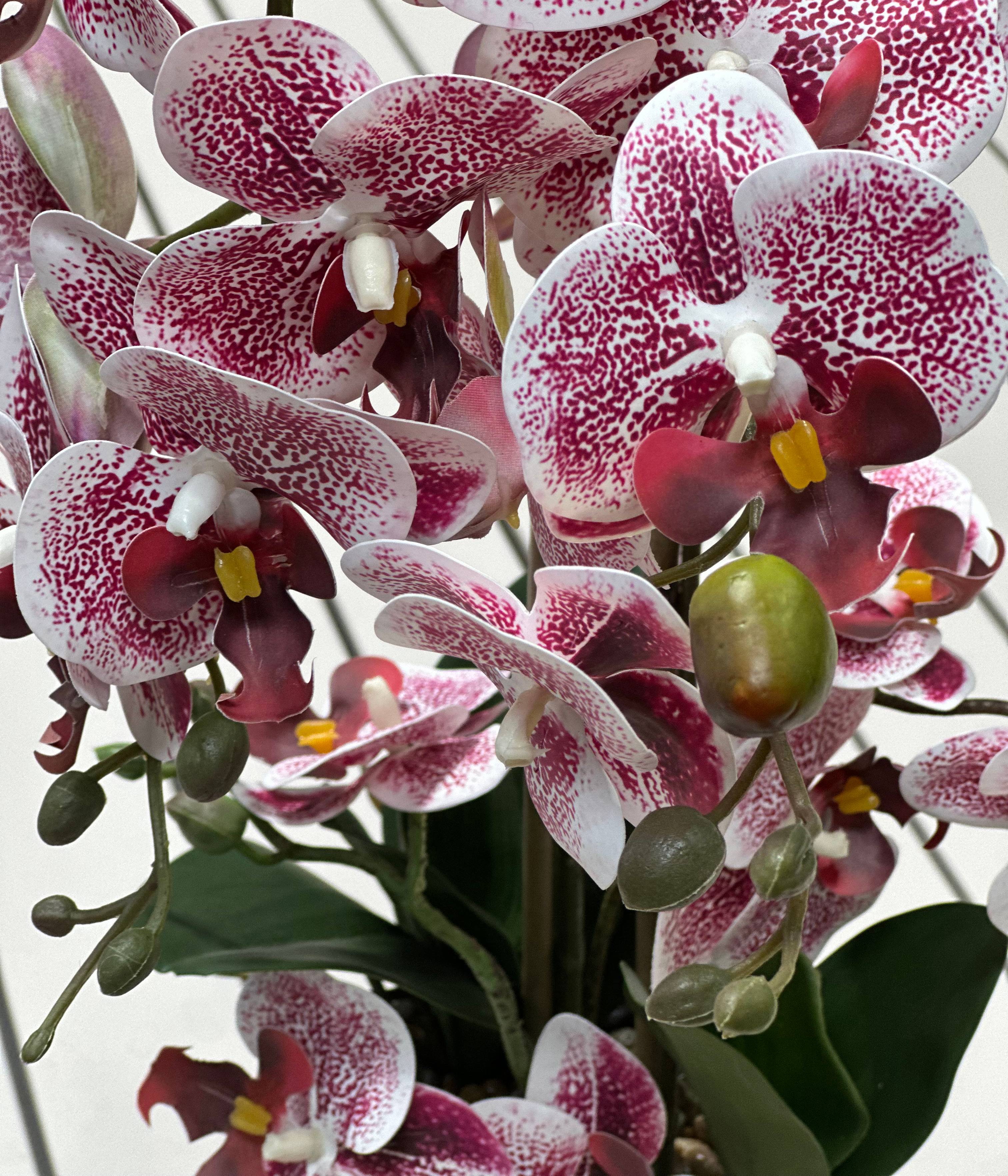 Ecloz - Orquídea phalaenopsis artificial en maceta - 2 tallos - blanca moteada púrpura - H. 55cm - ECLOZ - Imagen 6