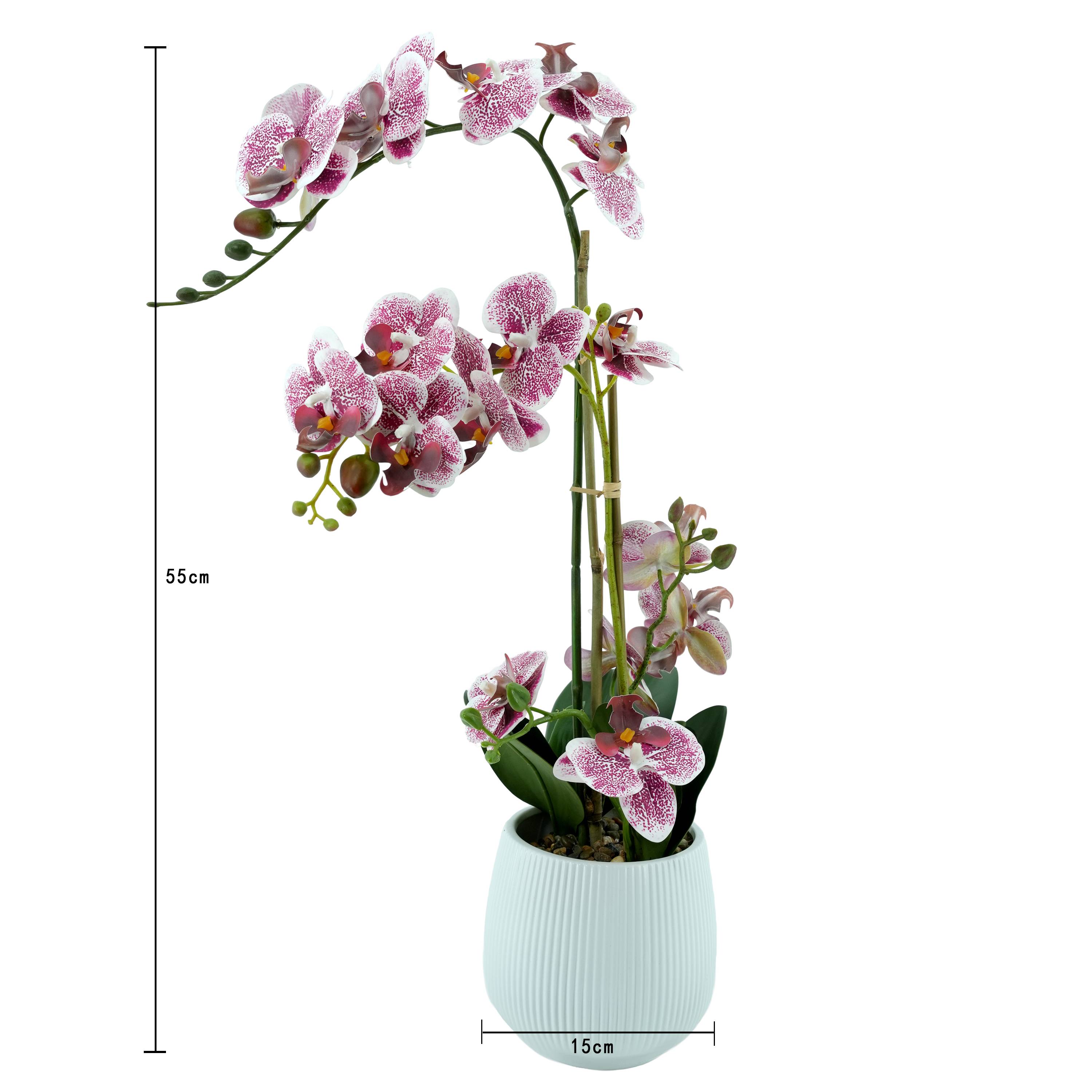Ecloz - Orquídea phalaenopsis artificial en maceta - 2 tallos - blanca moteada púrpura - H. 55cm - ECLOZ - Imagen 4
