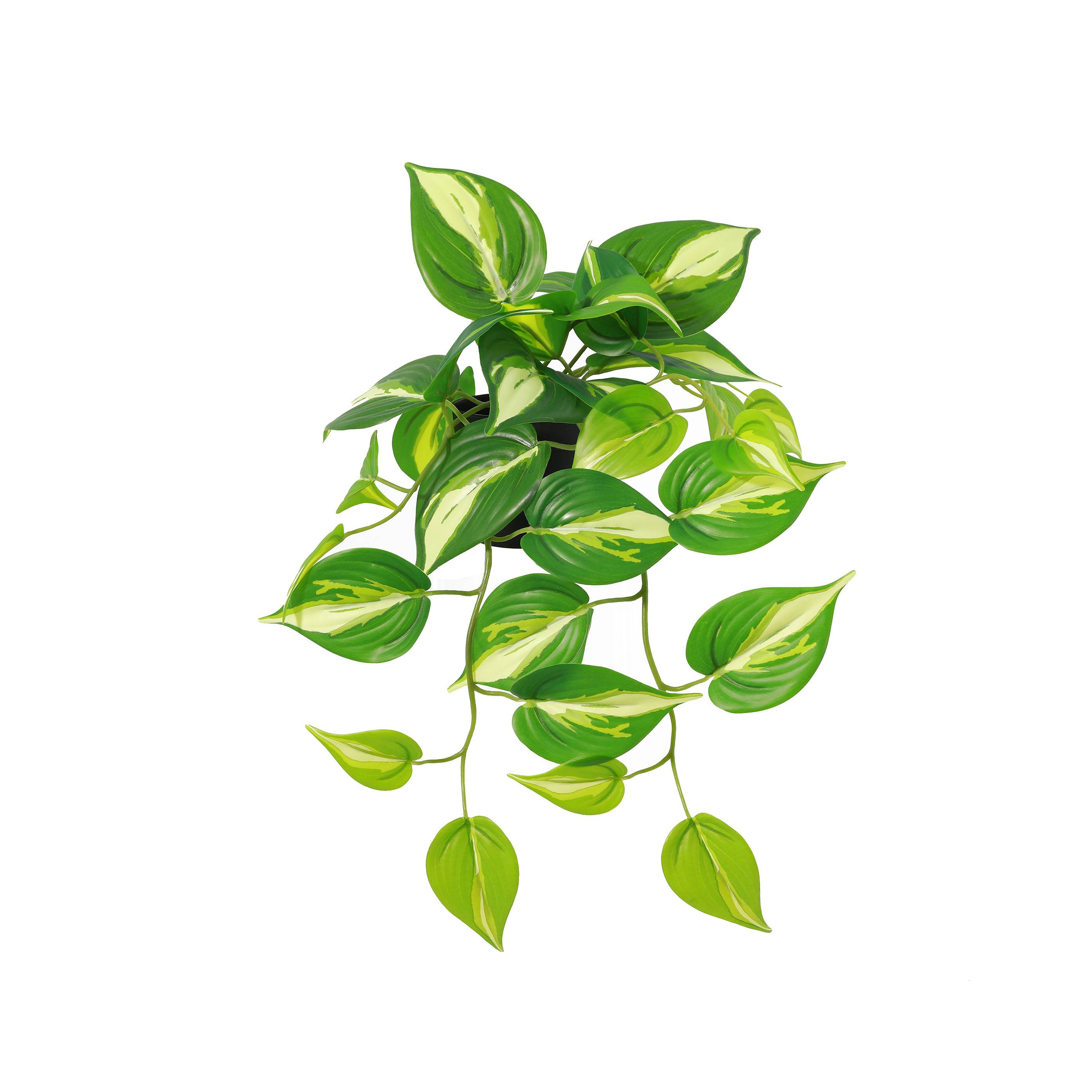 Ecloz - Pothos artificial colgante en maceta - L. 42 cm - ECLOZ - Imagen 1