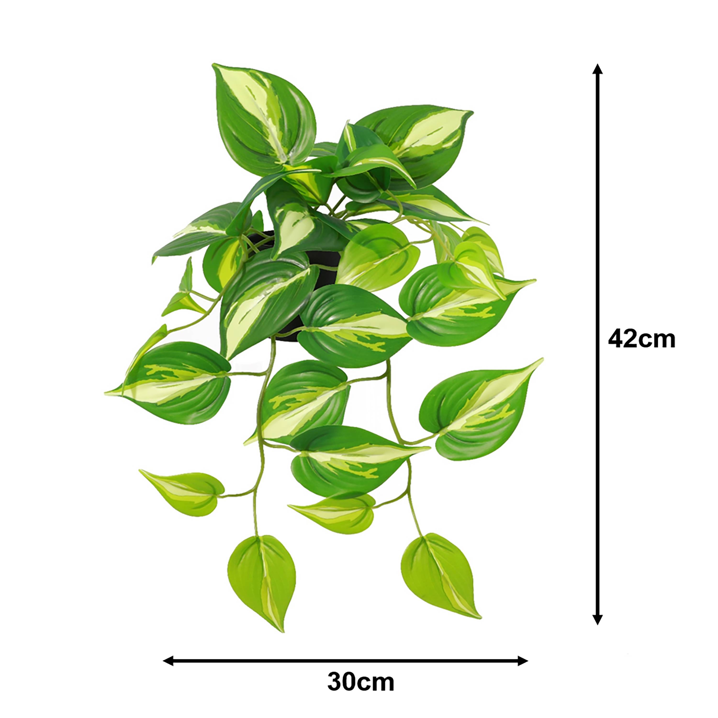 Ecloz - Pothos artificiel retombant en pot - L. 42 cm - ECLOZ - Image 2