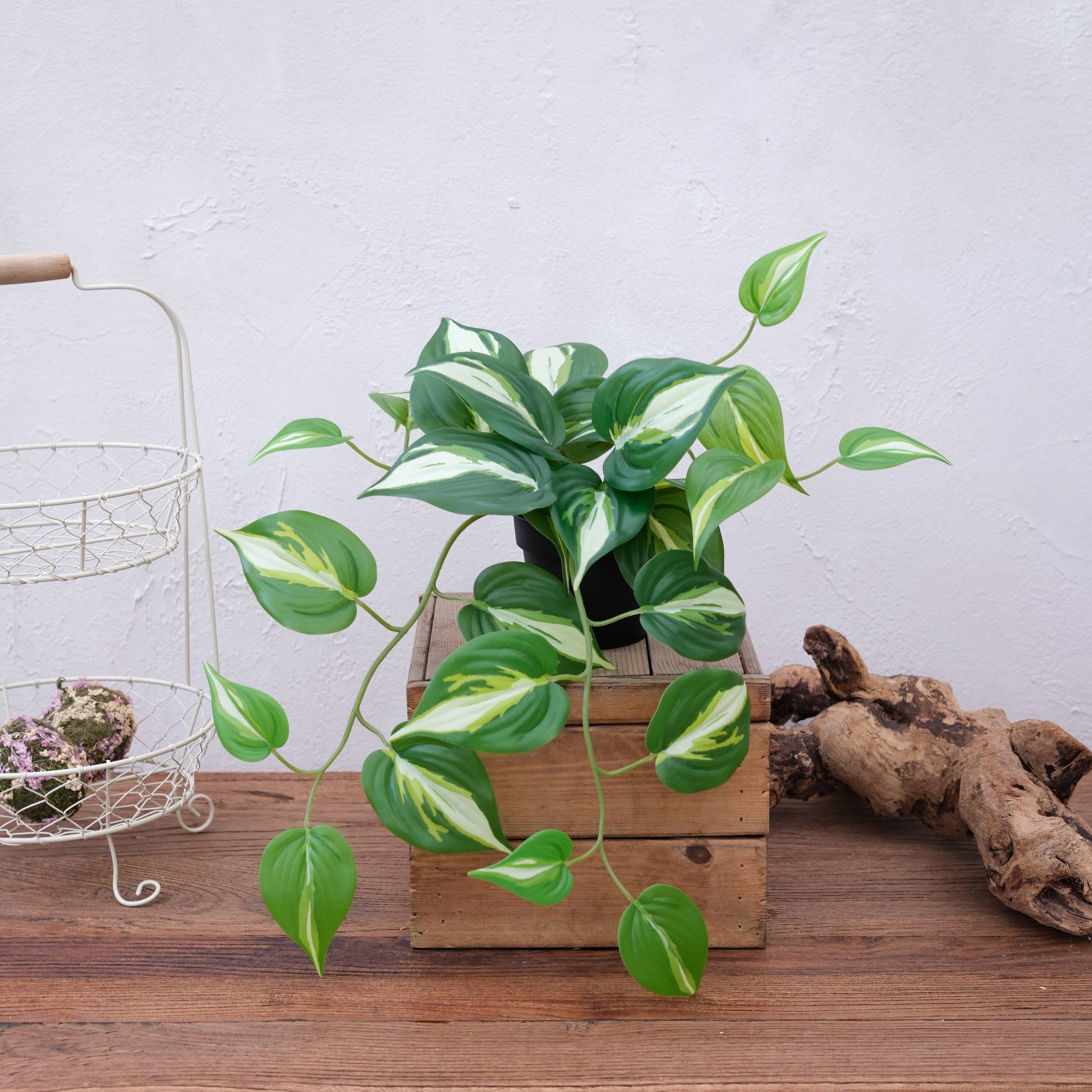 Ecloz - Pothos artificiel retombant en pot - L. 42 cm - ECLOZ - Image 4