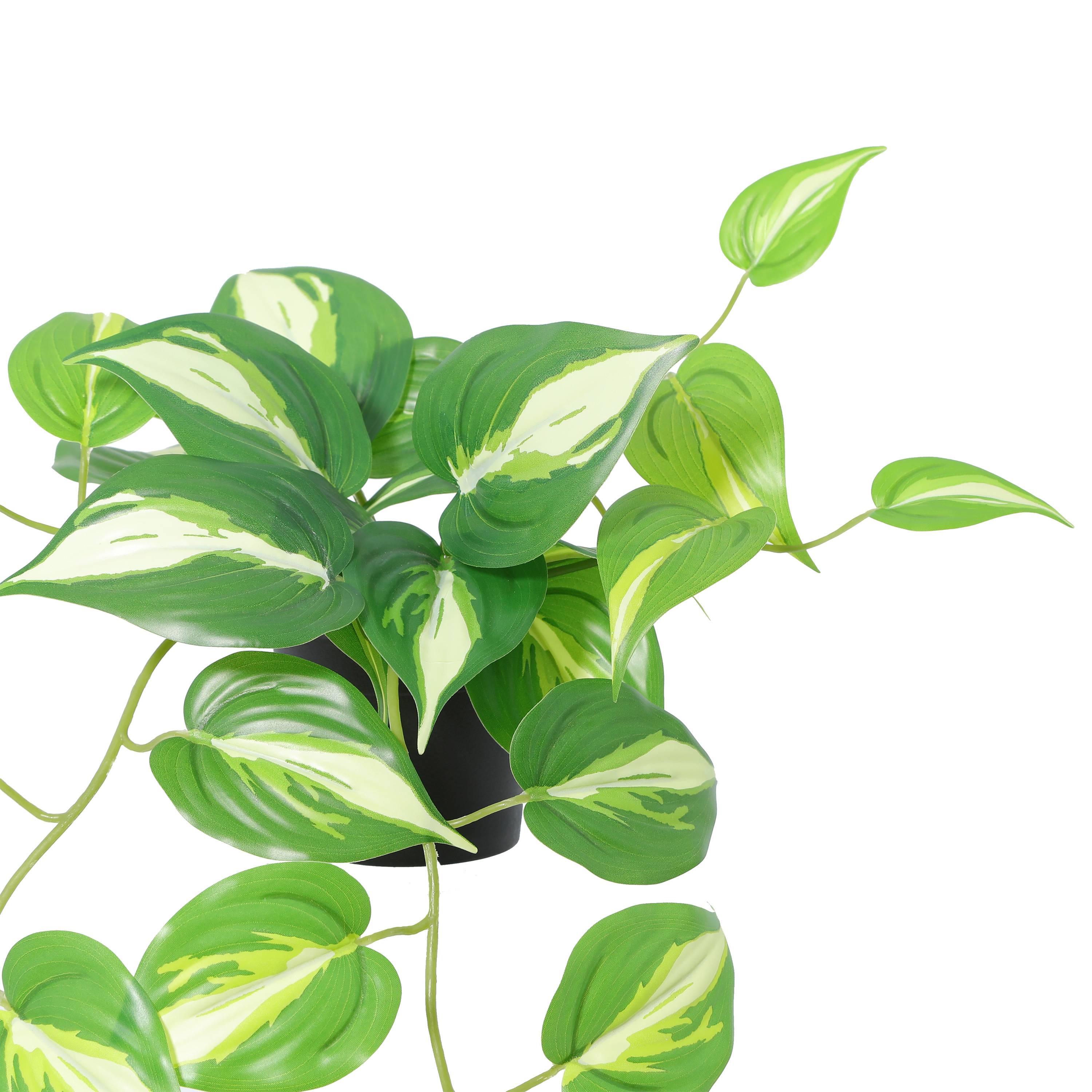 Ecloz - Pothos artificiel retombant en pot - L. 42 cm - ECLOZ - Image 3