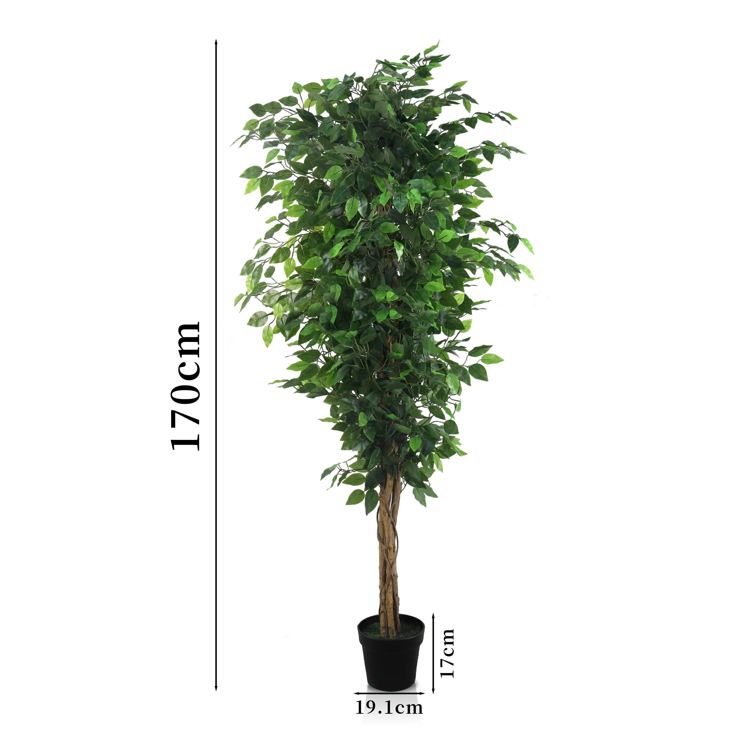 Ecloz - Ficus artificiel en pot - H. 170 cm - ECLOZ - Image 6