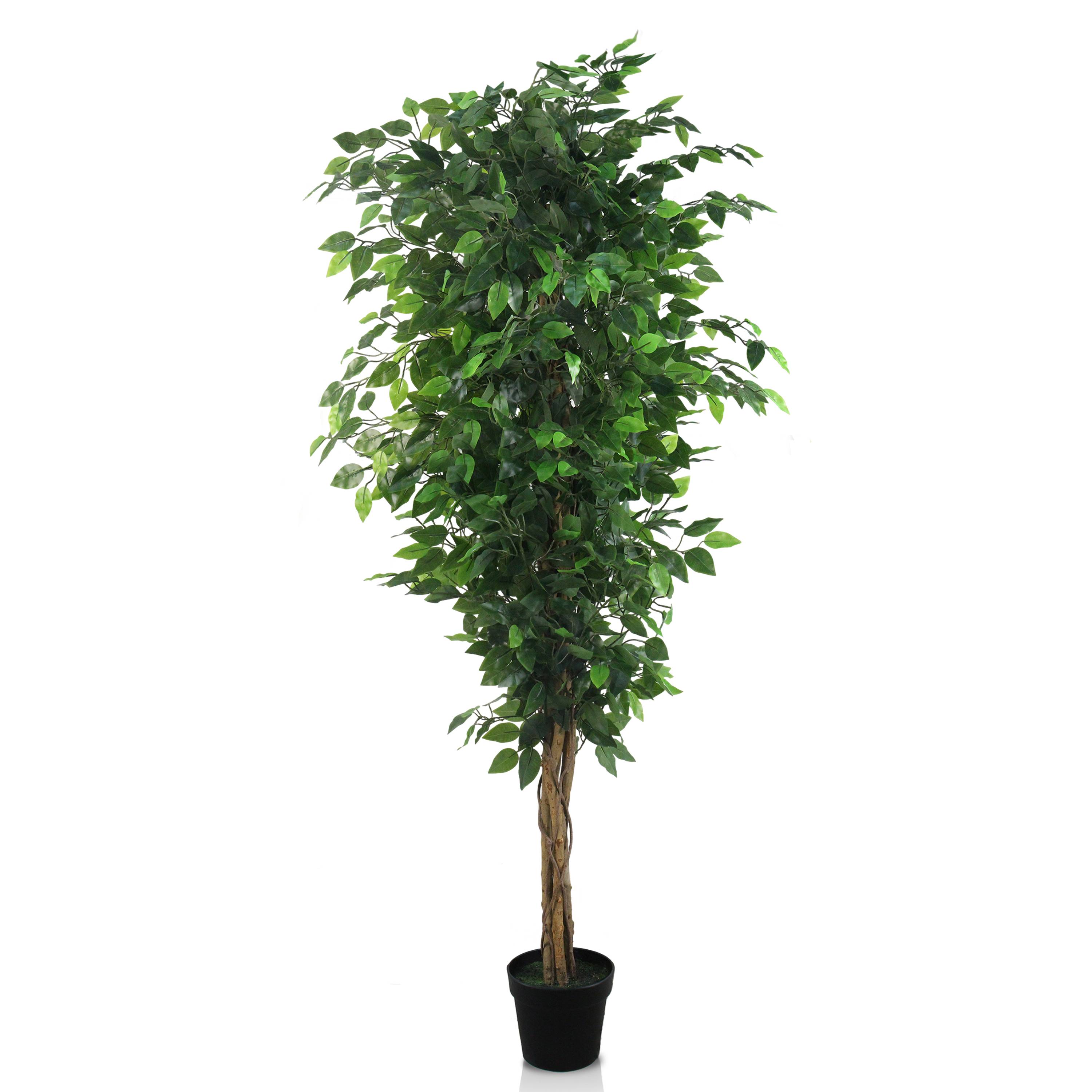 Ecloz - Ficus artificial en maceta - H. 170 cm - ECLOZ - Imagen 1