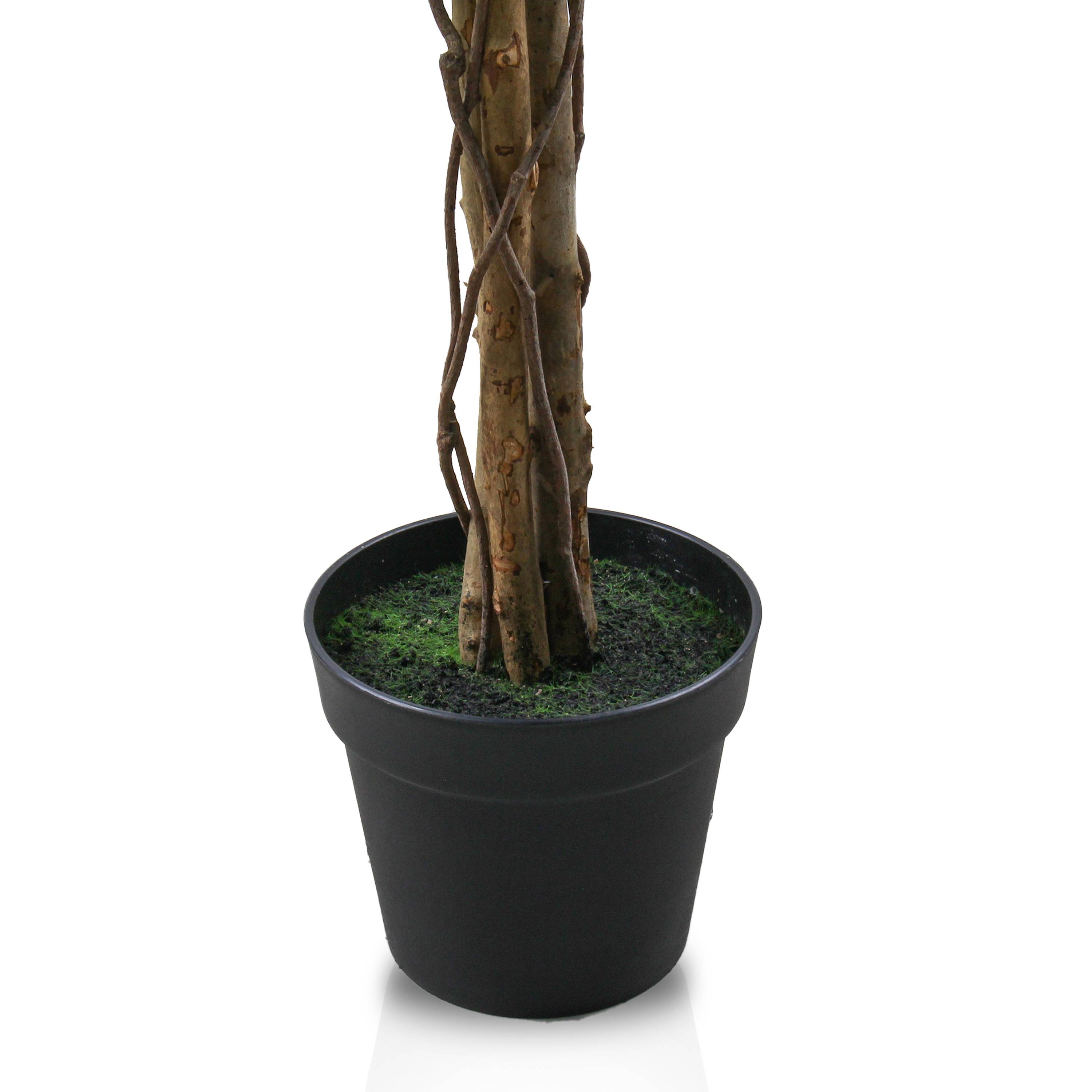 Ecloz - Ficus artificial en maceta - H. 170 cm - ECLOZ - Imagen 5