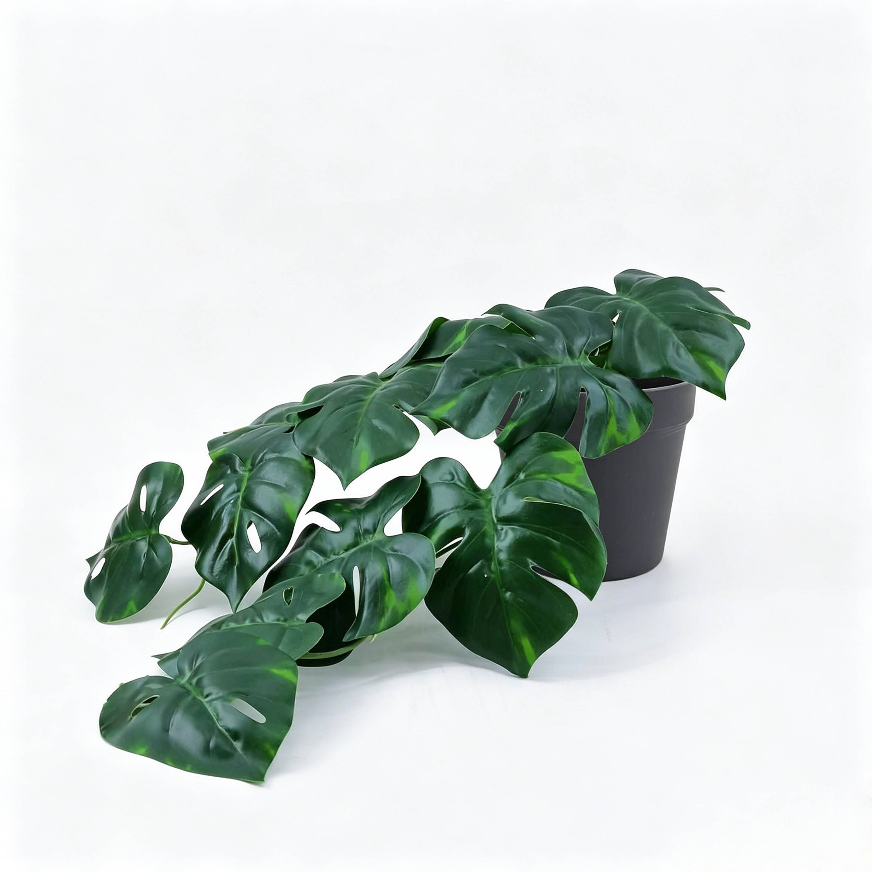 Ecloz - Monstera artificial colgante en maceta - L. 53 cm - ECLOZ