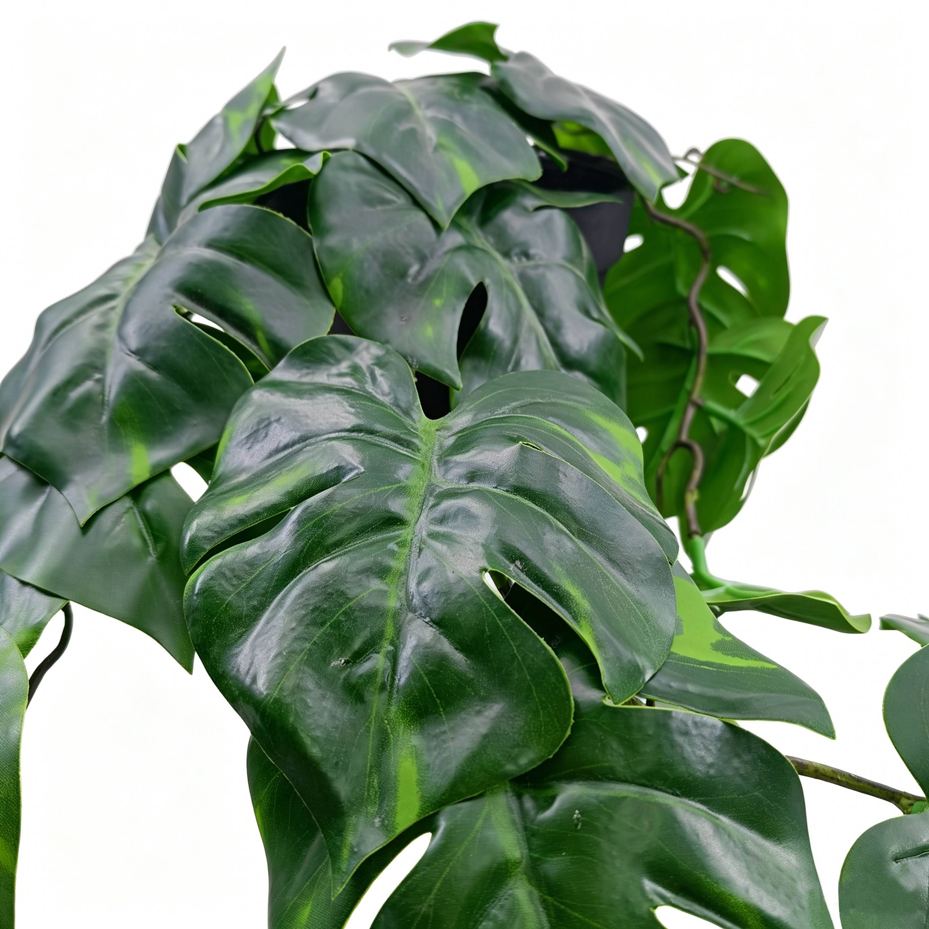 Ecloz - Monstera artificiel retombant en pot - L. 53 cm - ECLOZ - Image 3