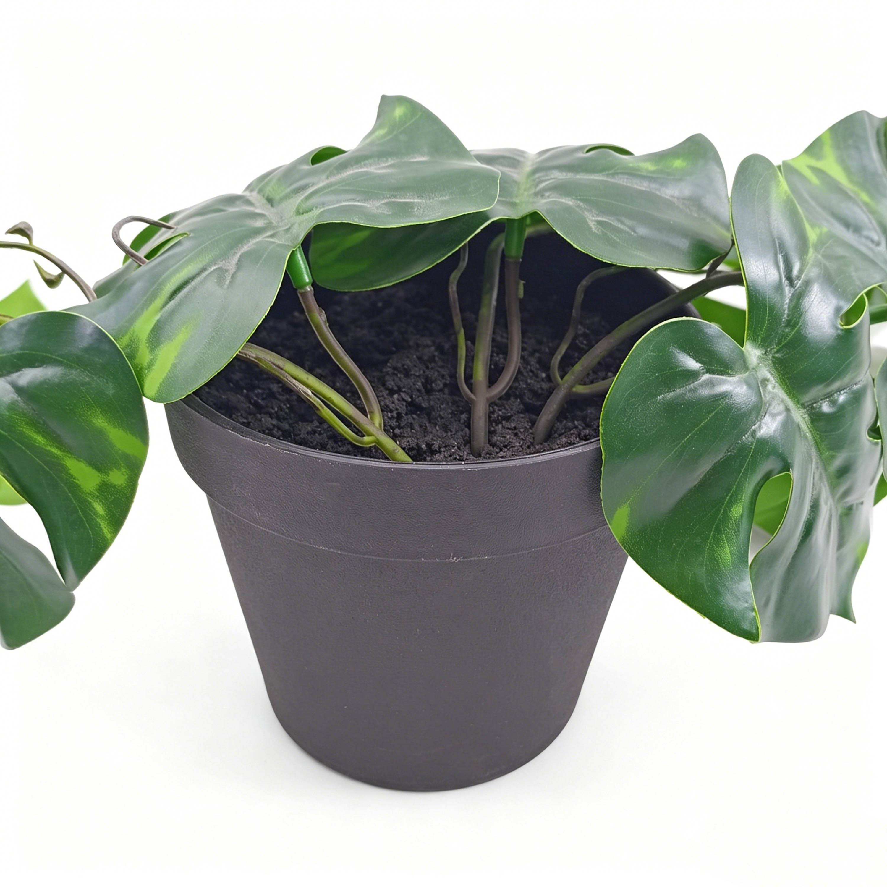 Ecloz - Monstera artificial colgante en maceta - L. 53 cm - ECLOZ - Imagen 4