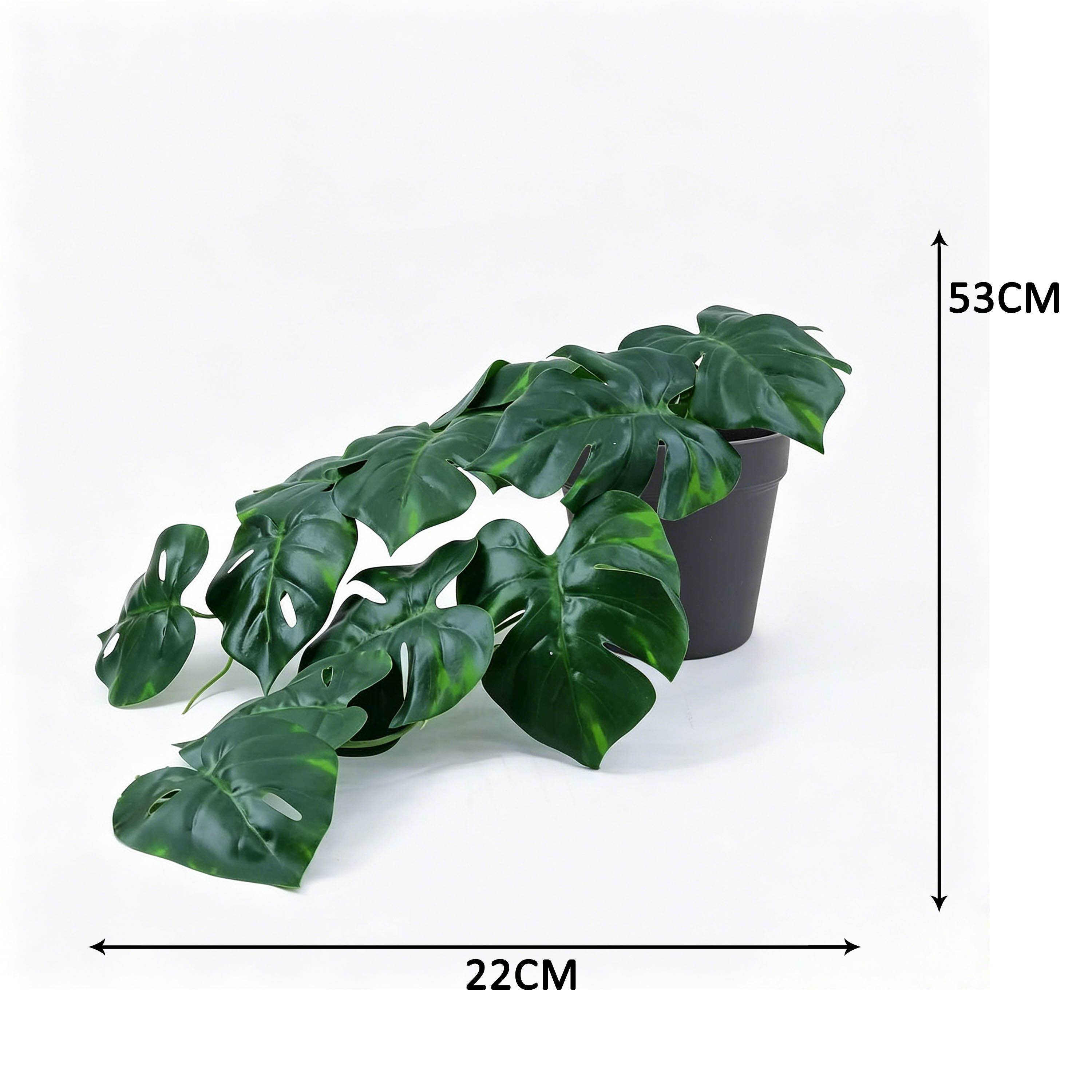 Ecloz - Monstera artificiel retombant en pot - L. 53 cm - ECLOZ - Image 2
