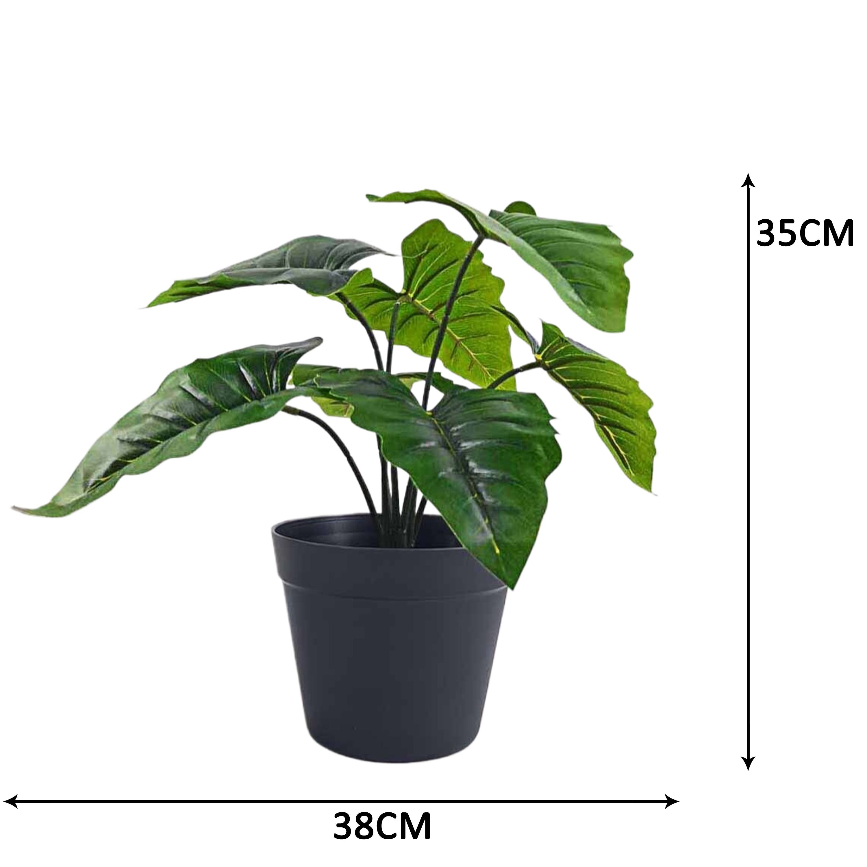 Ecloz - Alocasia artificielle en pot - H. 35 cm - ECLOZ - Image 4