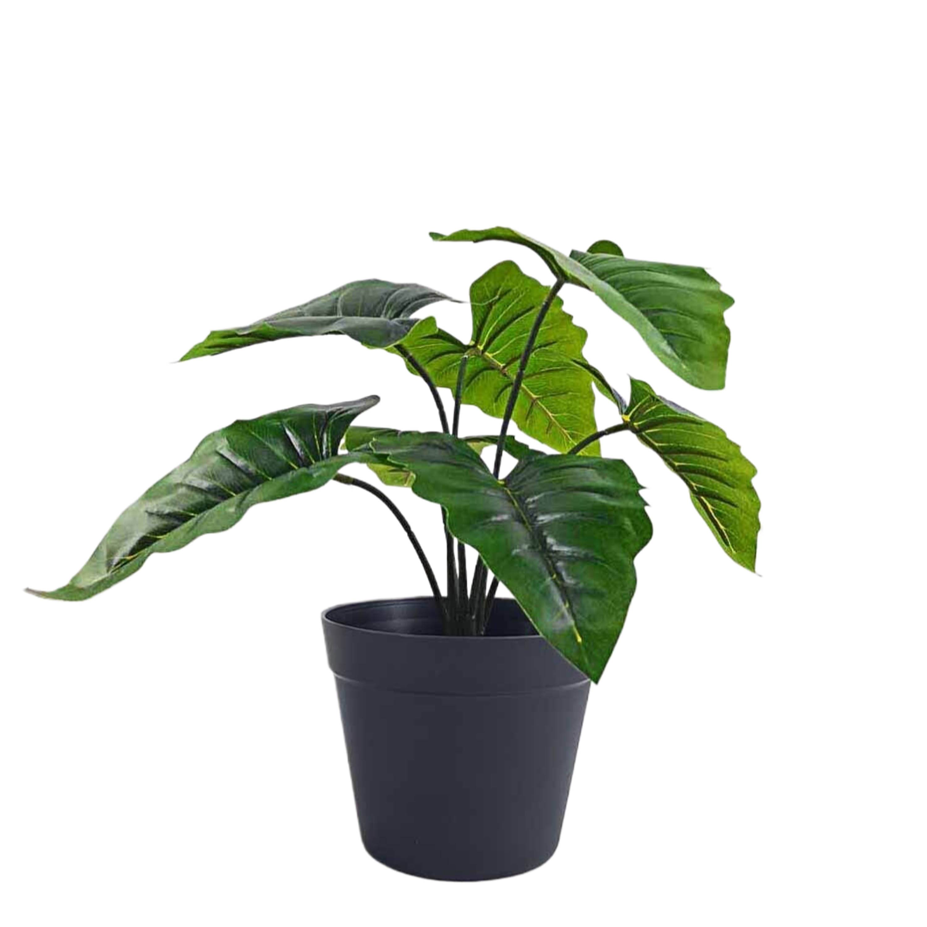 Ecloz - Alocasia artificielle en pot - H. 35 cm - ECLOZ - Image 1