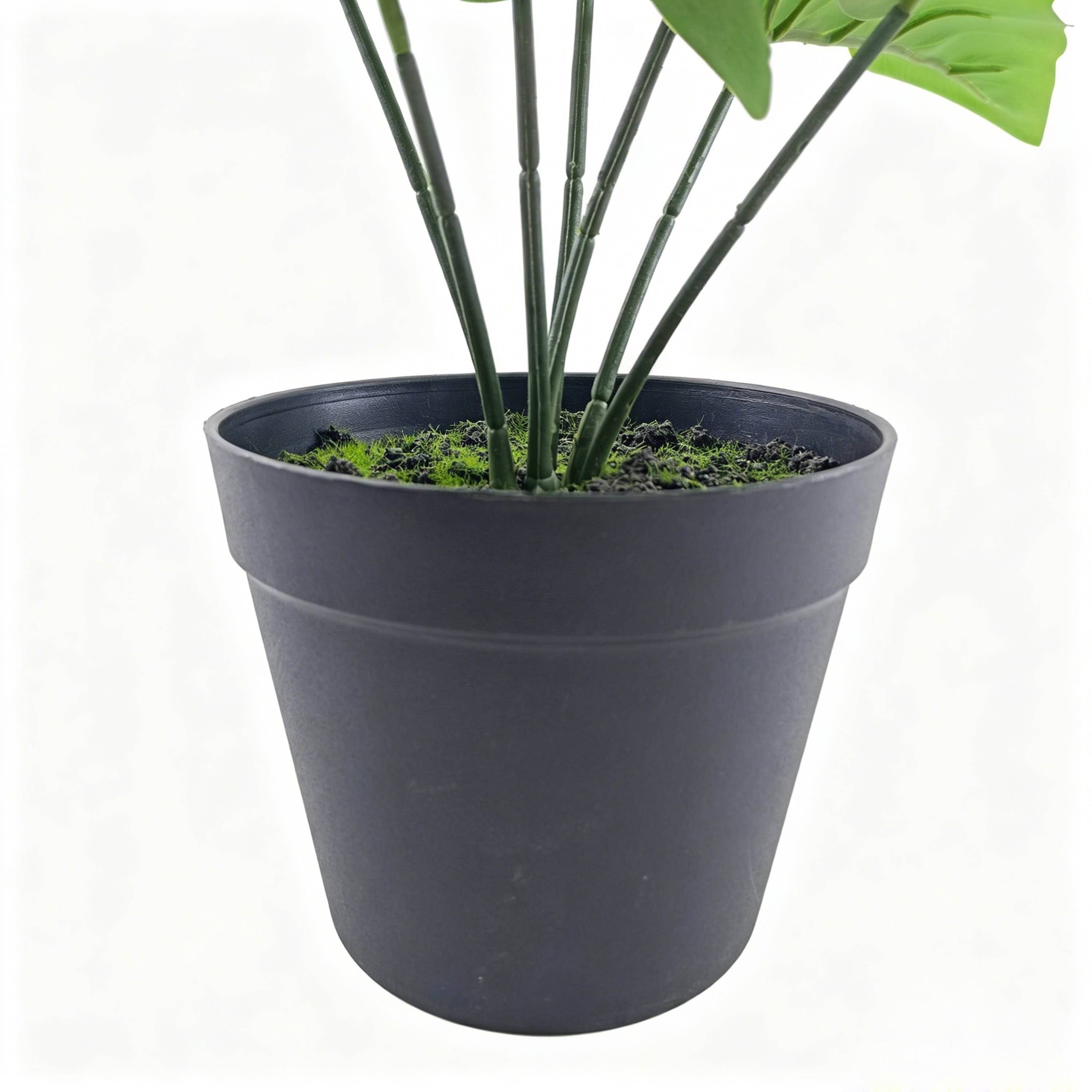 Ecloz - Alocasia artificielle en pot - H. 35 cm - ECLOZ - Image 3