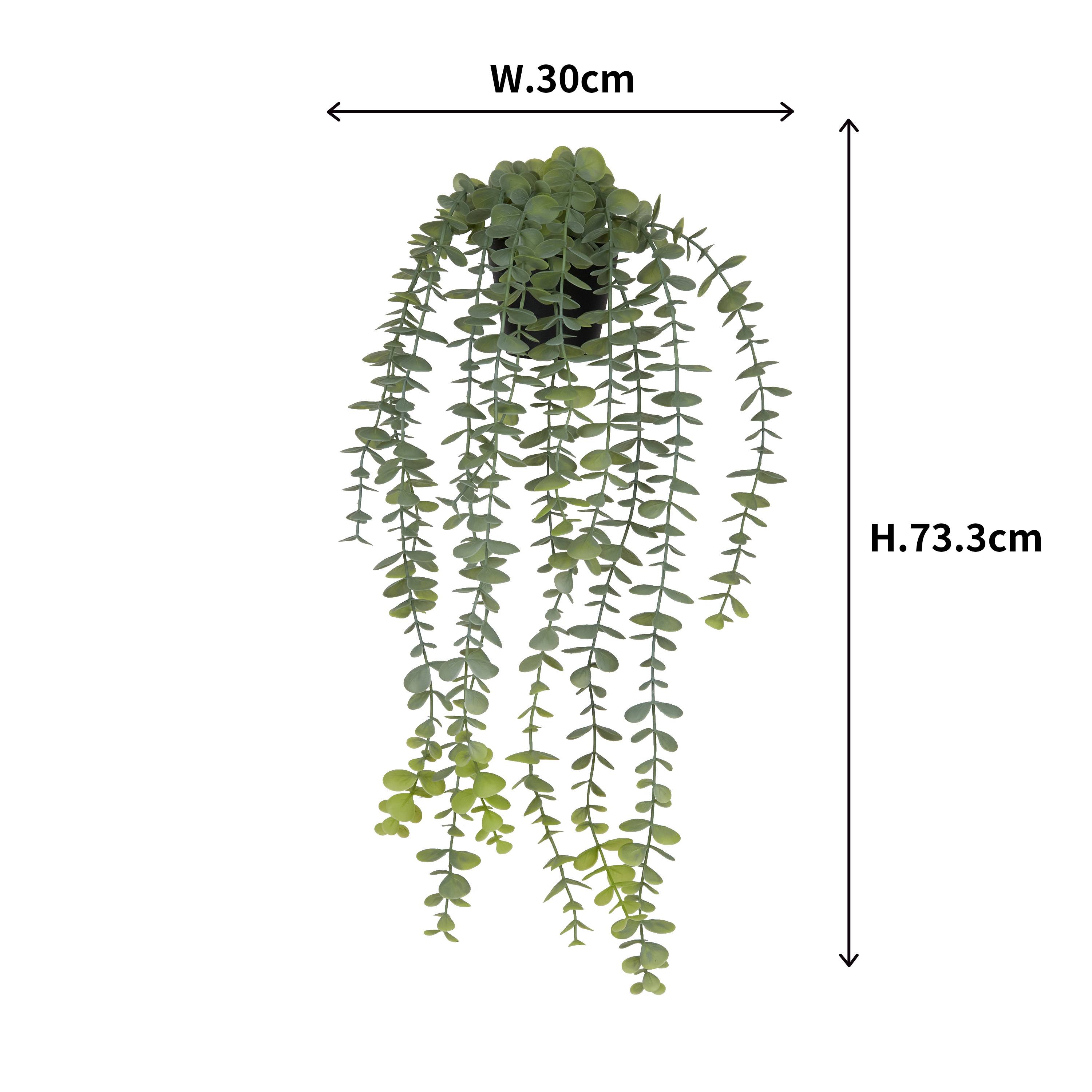 Ecloz - Eucalyptus artificiel retombant en pot - L. 58 cm - ECLOZ - Image 2