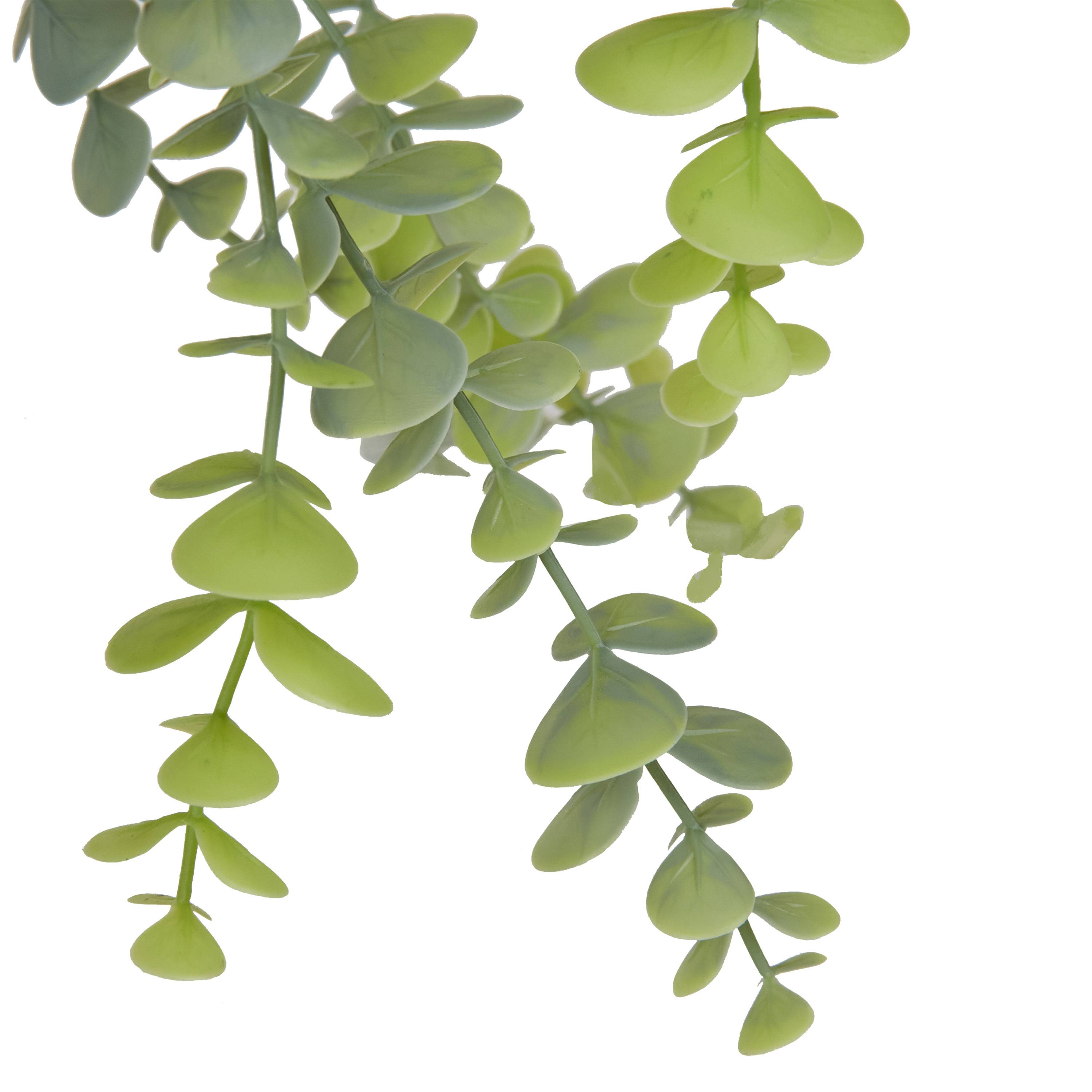 Ecloz - Eucalipto artificial colgante en maceta - L. 58 cm - ECLOZ - Imagen 3
