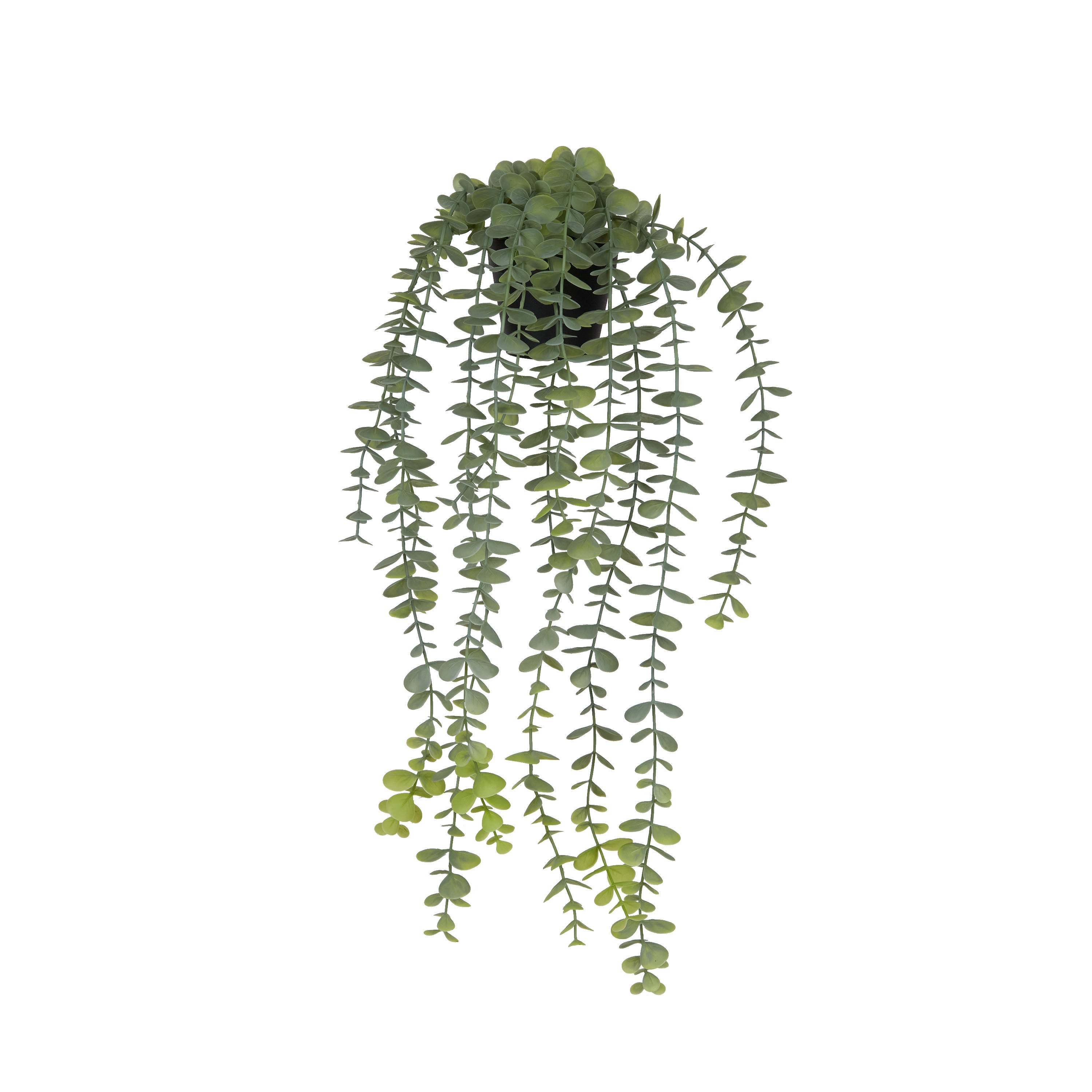 Ecloz - Eucalyptus artificiel retombant en pot - L. 58 cm - ECLOZ - Image 1