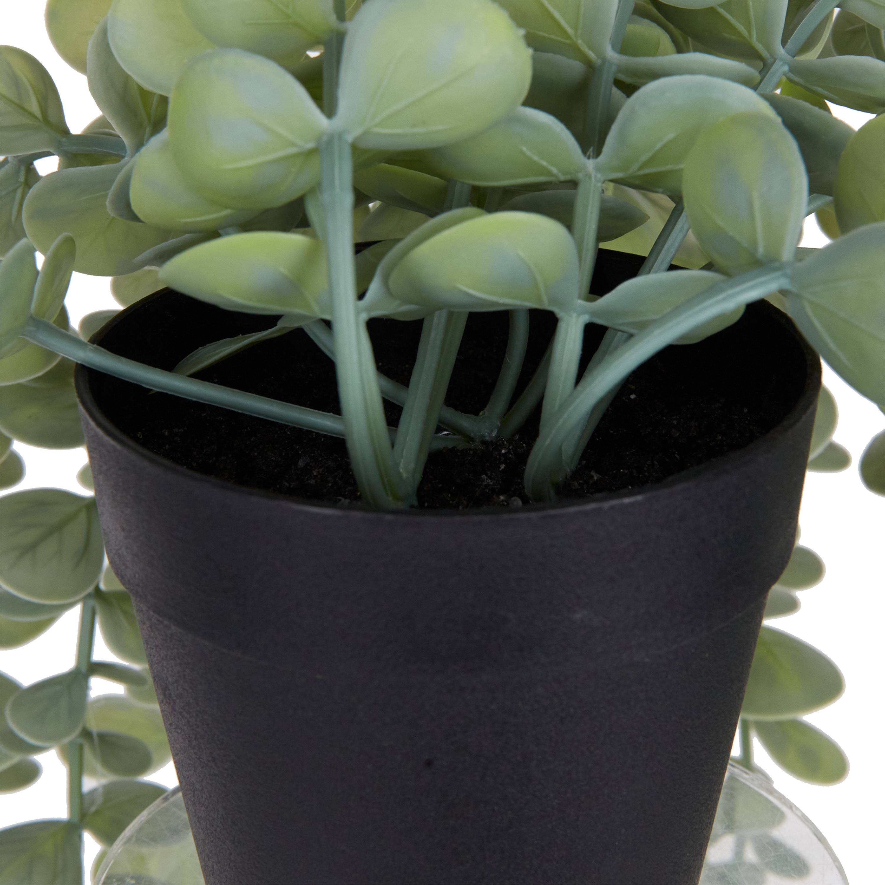 Ecloz - Eucalyptus artificiel retombant en pot - L. 58 cm - ECLOZ - Image 5