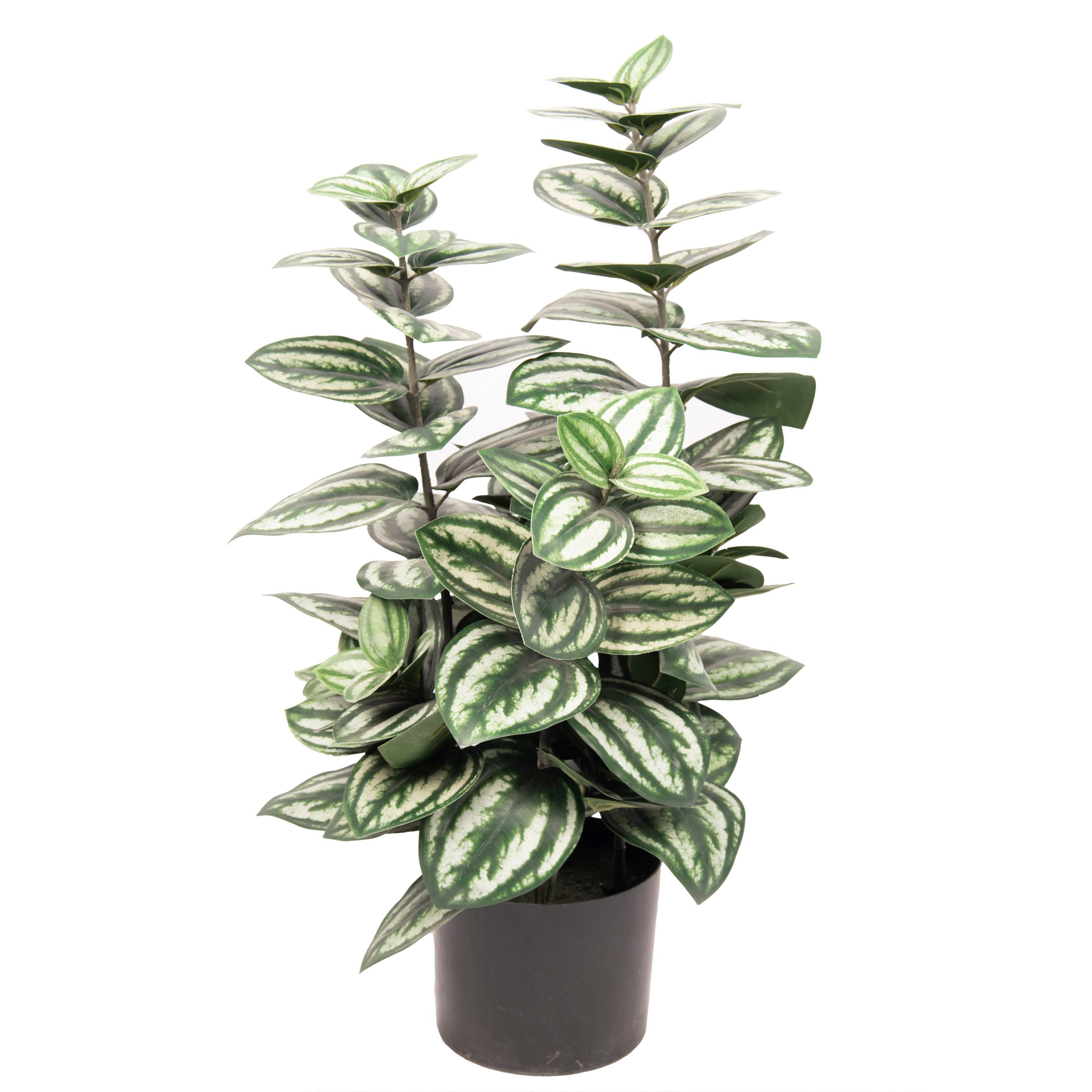 Ecloz - Peperomia artificiel 4 tiges en pot - H. 75 cm - ECLOZ - Image 1