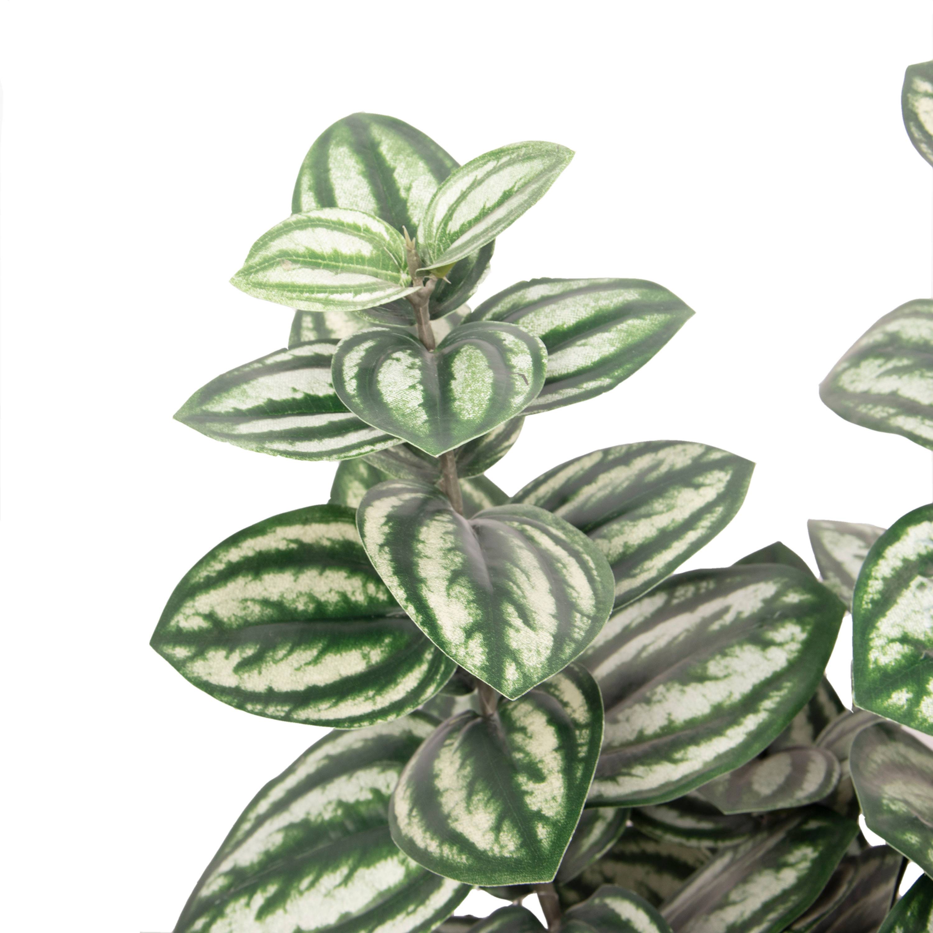 Ecloz - Peperomia artificial 4 tallos en maceta - H. 75 cm - ECLOZ - Imagen 3