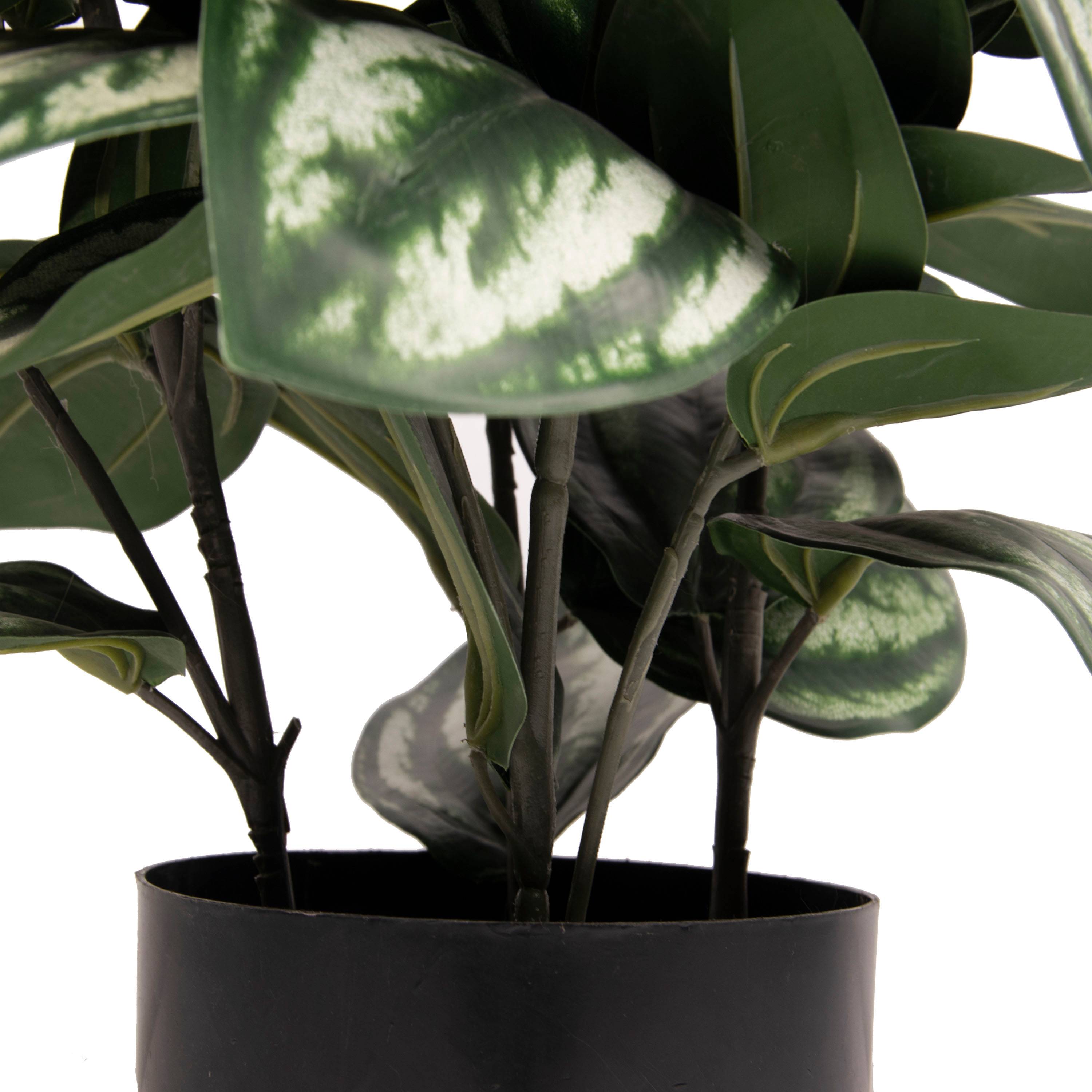 Ecloz - Peperomia artificiel 4 tiges en pot - H. 75 cm - ECLOZ - Image 2