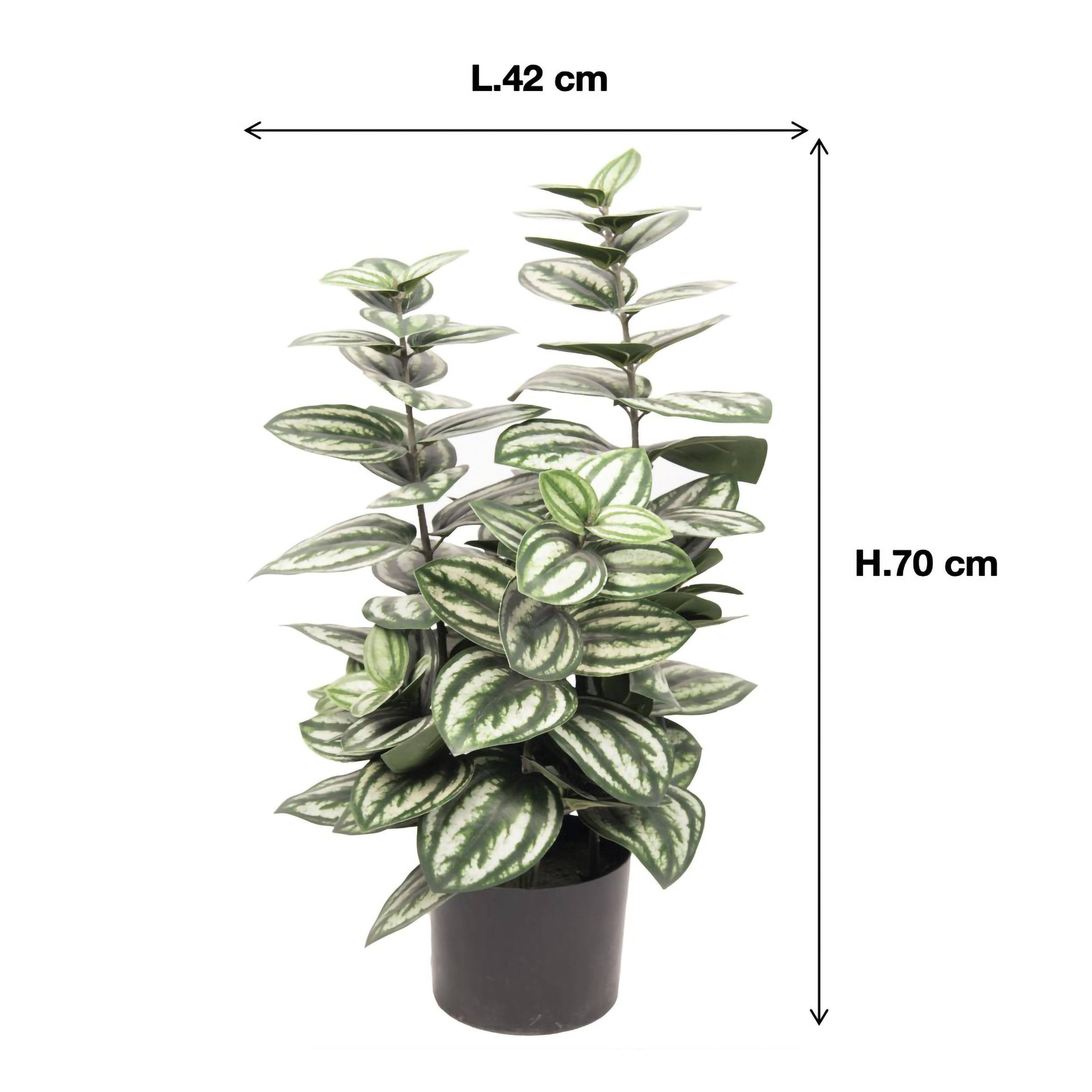 Ecloz - Peperomia artificiel 4 tiges en pot - H. 75 cm - ECLOZ - Image 4