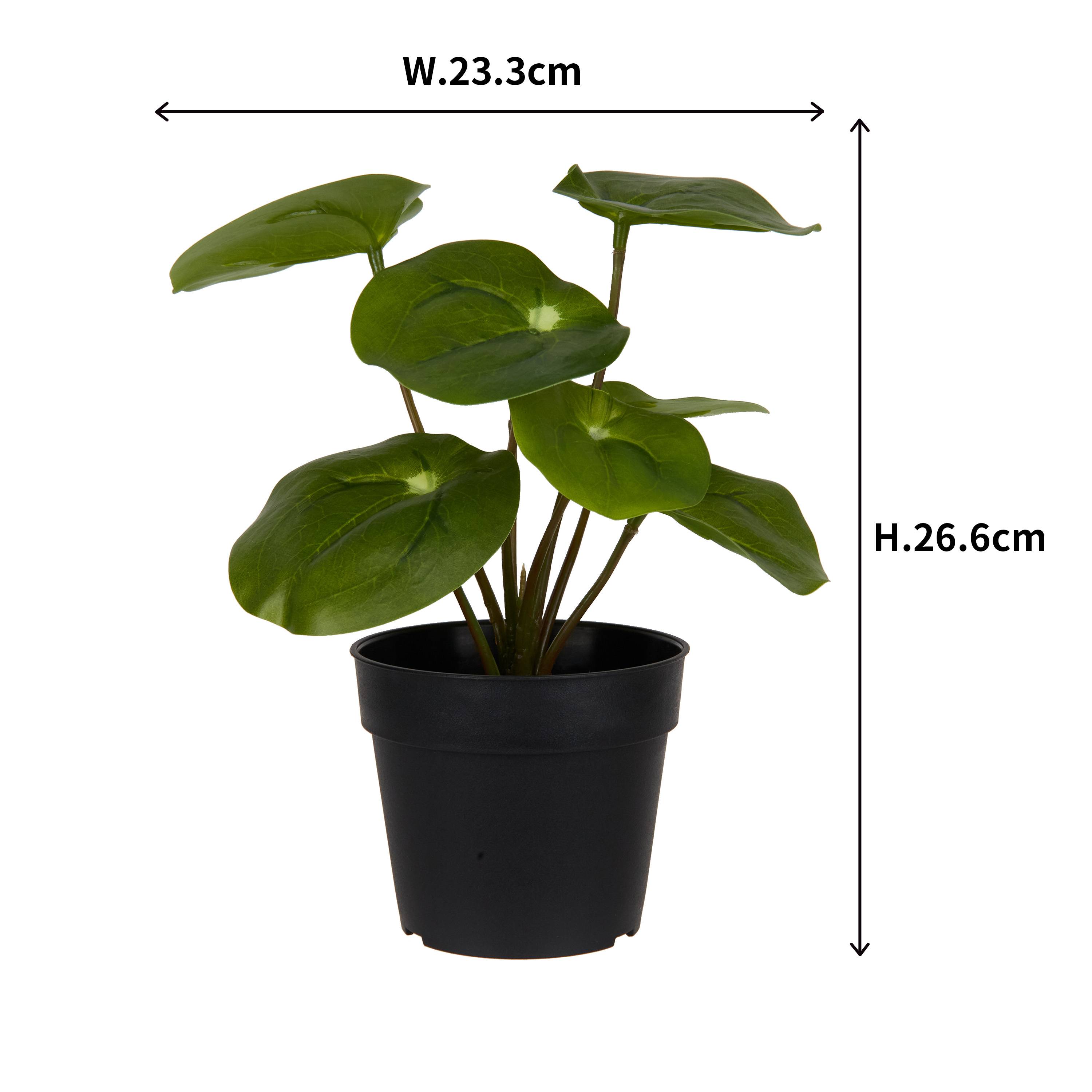 Ecloz - Pilea artificial en maceta - H. 20 cm - ECLOZ - Imagen 5