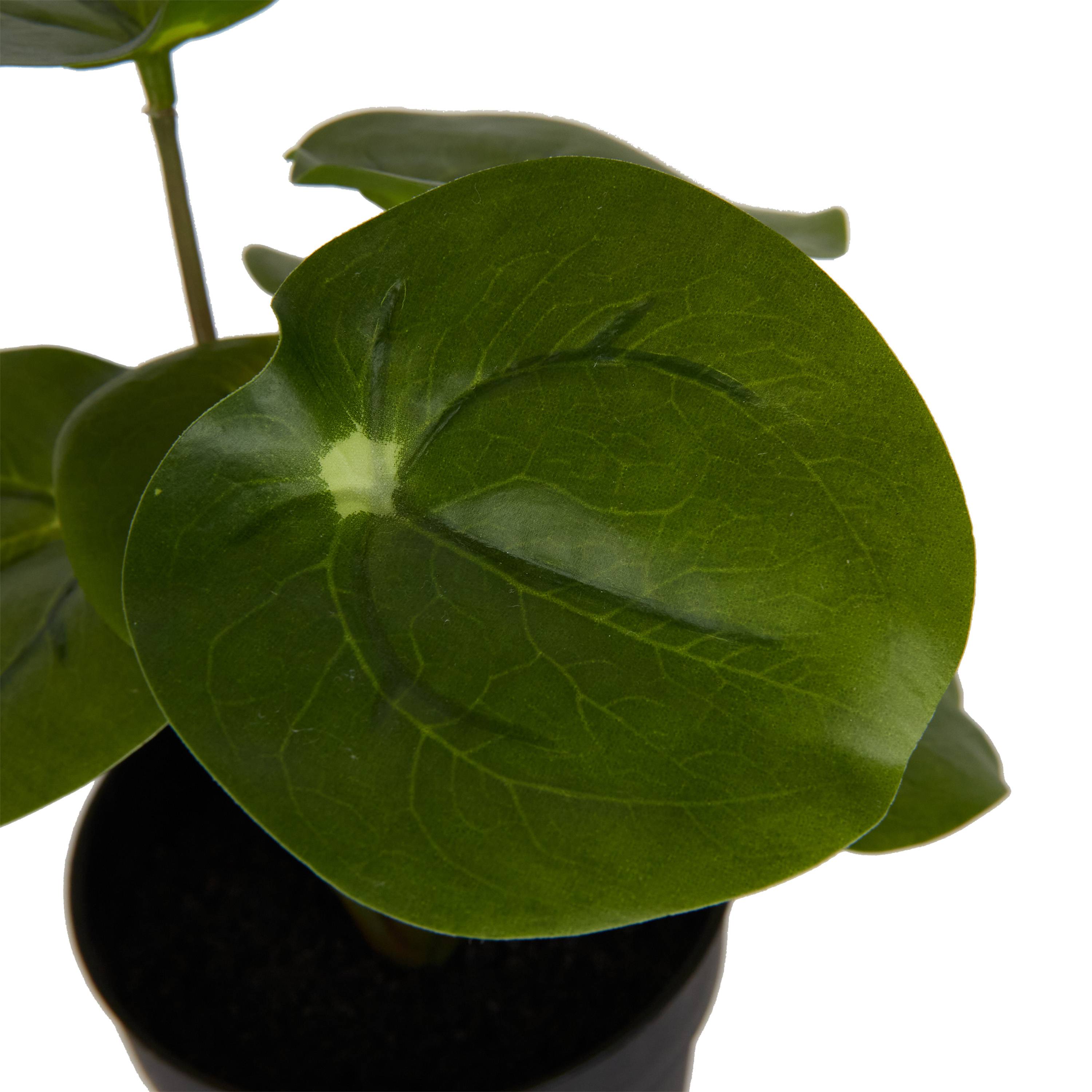 Ecloz - Pilea artificial en maceta - H. 20 cm - ECLOZ - Imagen 4