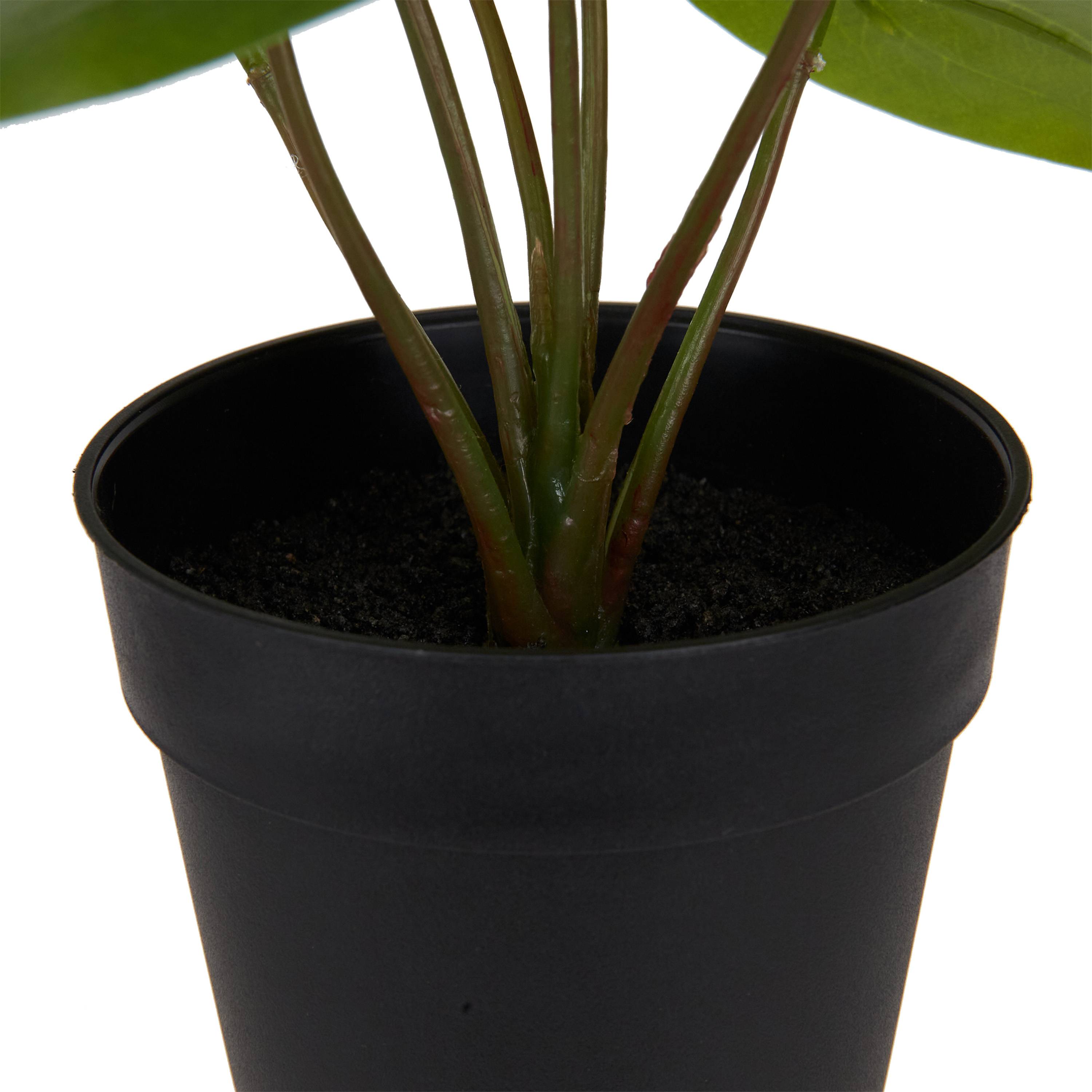 Ecloz - Piléa artificiel en pot - H. 20 cm - ECLOZ - Image 3
