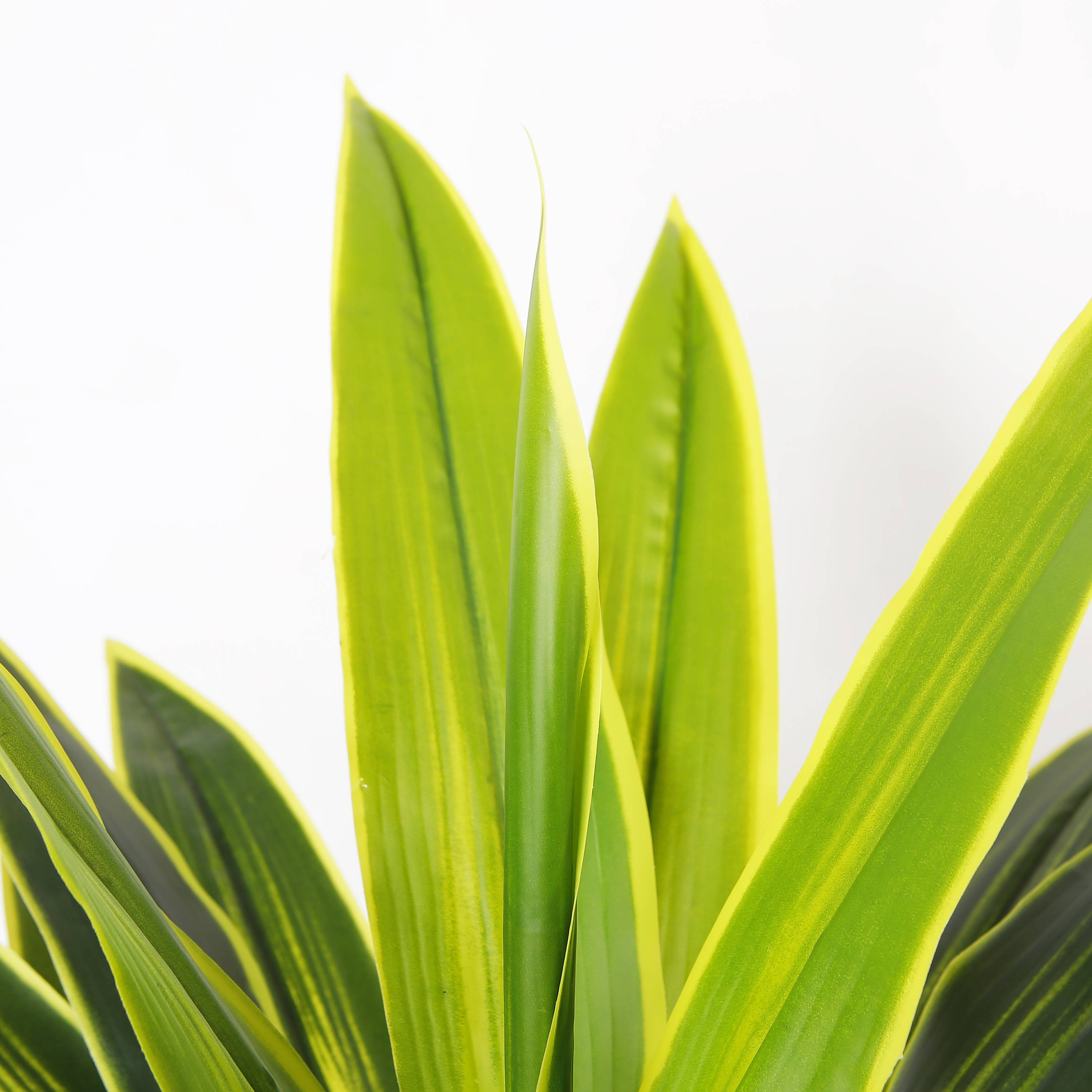 Ecloz - Dracaena artificiel en pot - H. 120 cm - ECLOZ - Image 4