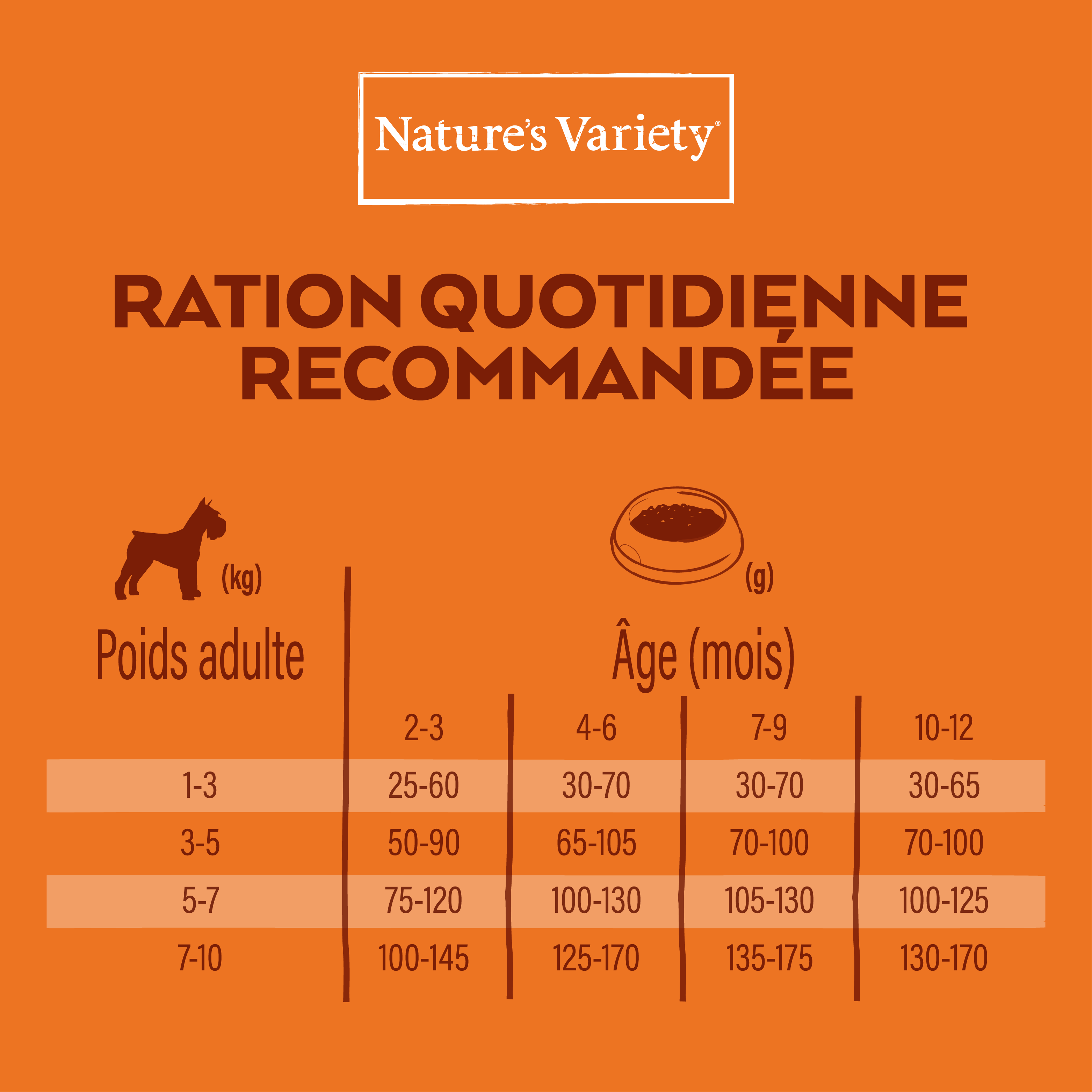 Croquetas para cachorro con cereales saludables mini pollo 3 kg - Nature's Variety - Imagen 2